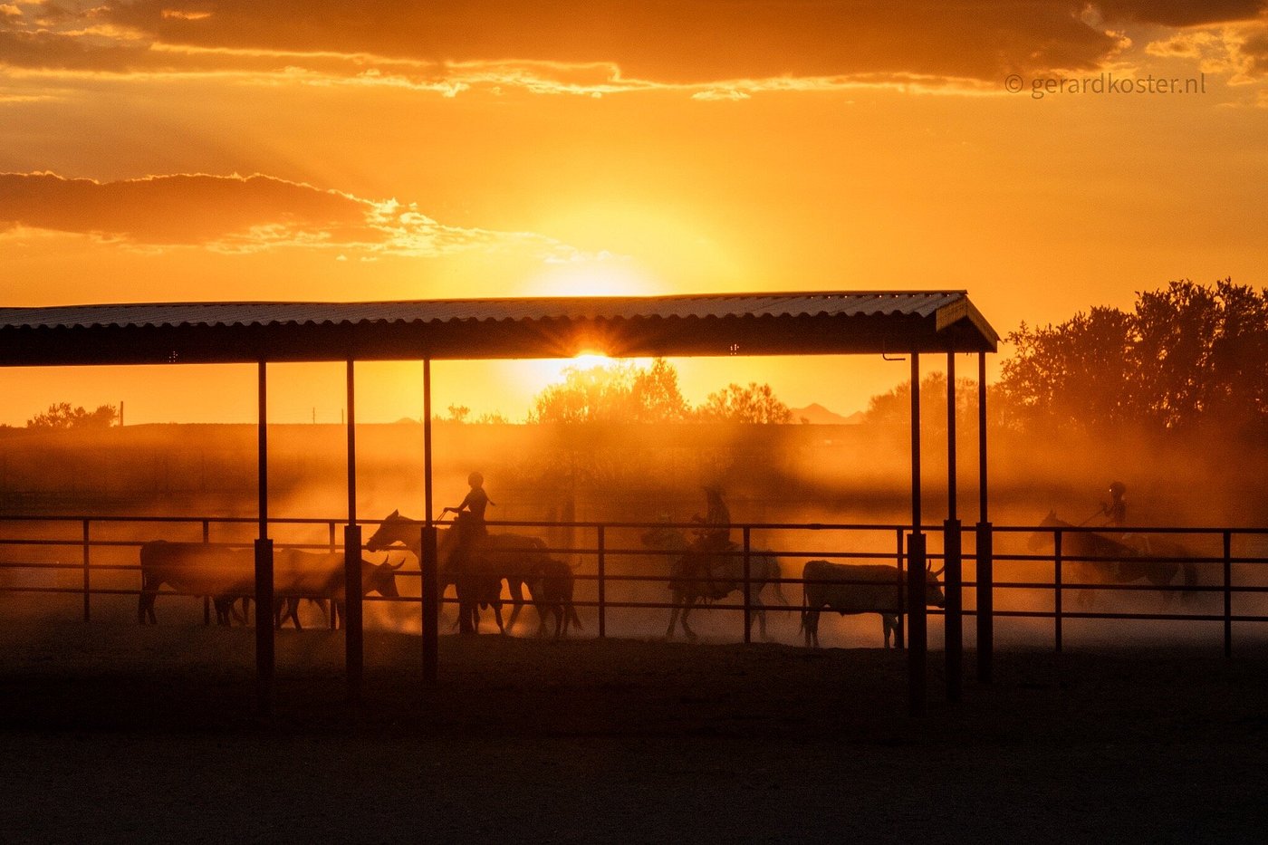 Stunning sunset view of the corral at White Stallion Ranch