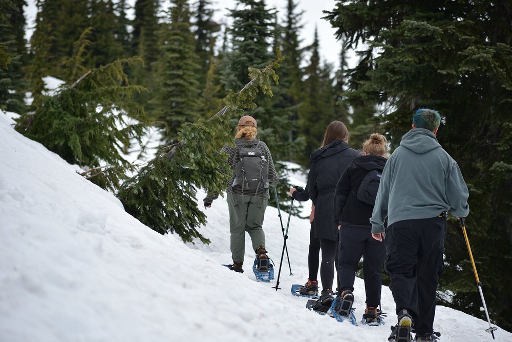 Mount Rainier National Park, Washington