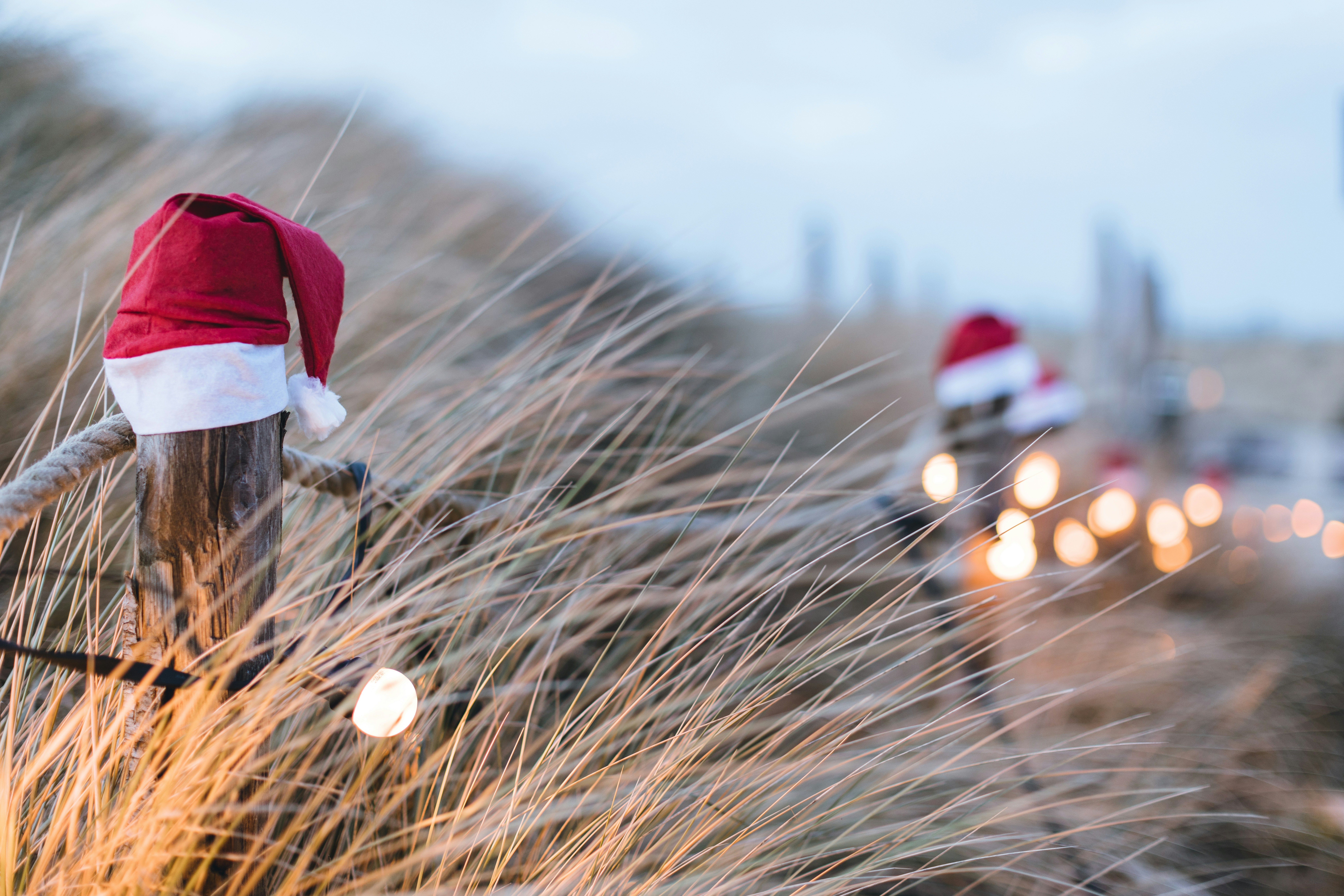 christmas by the sea: Santa hats on wooden posts along a coastal boardwalk with winter grasses and blurred holiday lights.