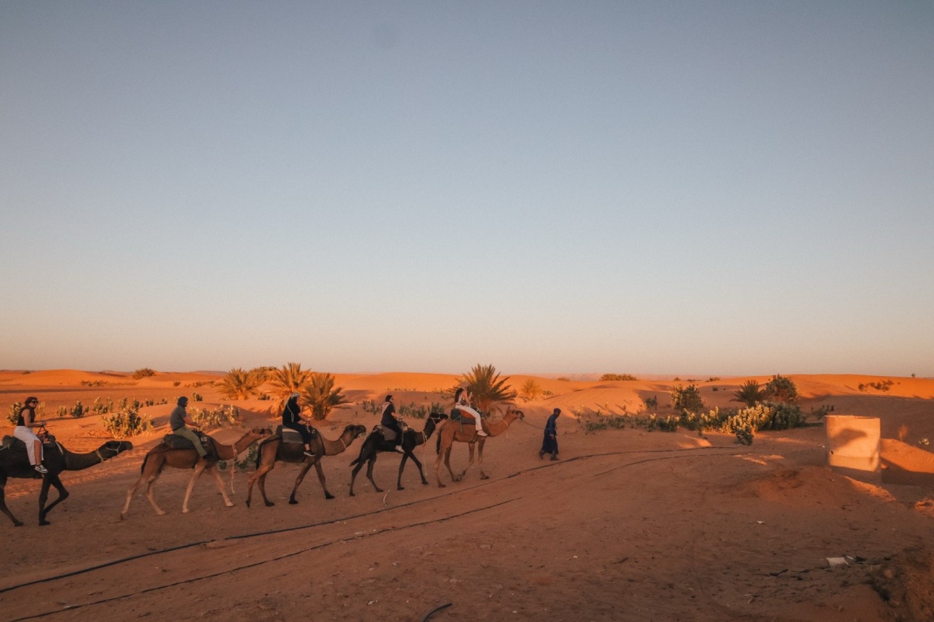 Camel riding at sunset in the desert.
