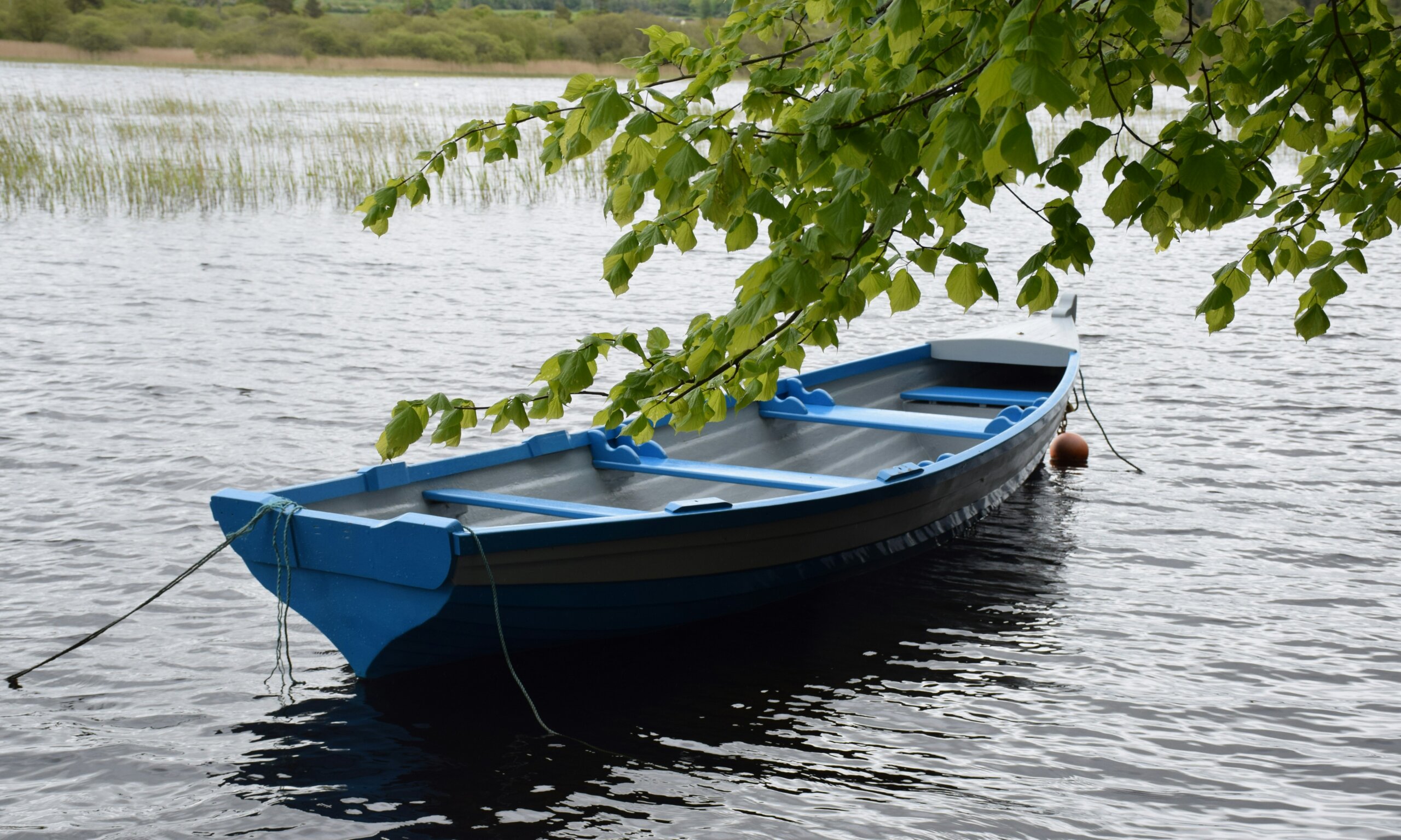 co. sligo, ireland