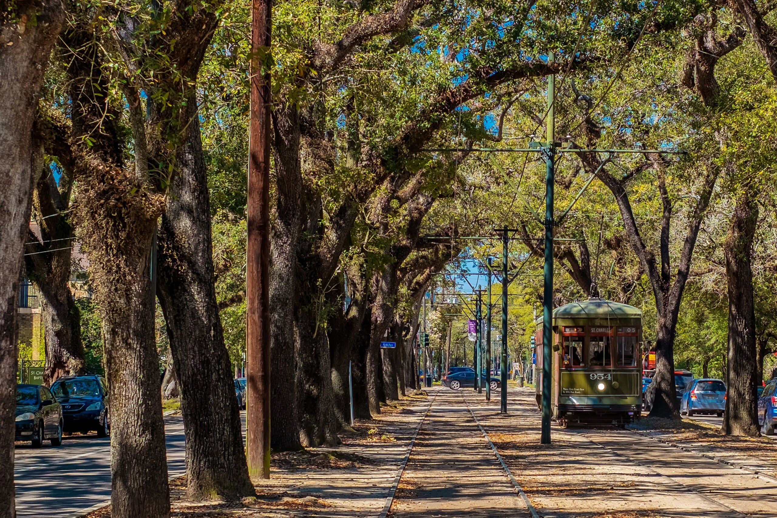 New Orleans Street Car in the Live Oak Trees
