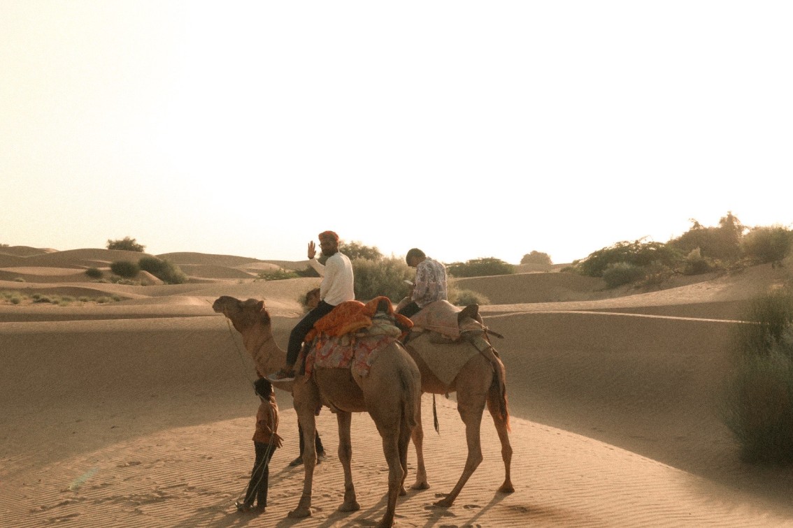 Camel ride in the Thar desert. 
