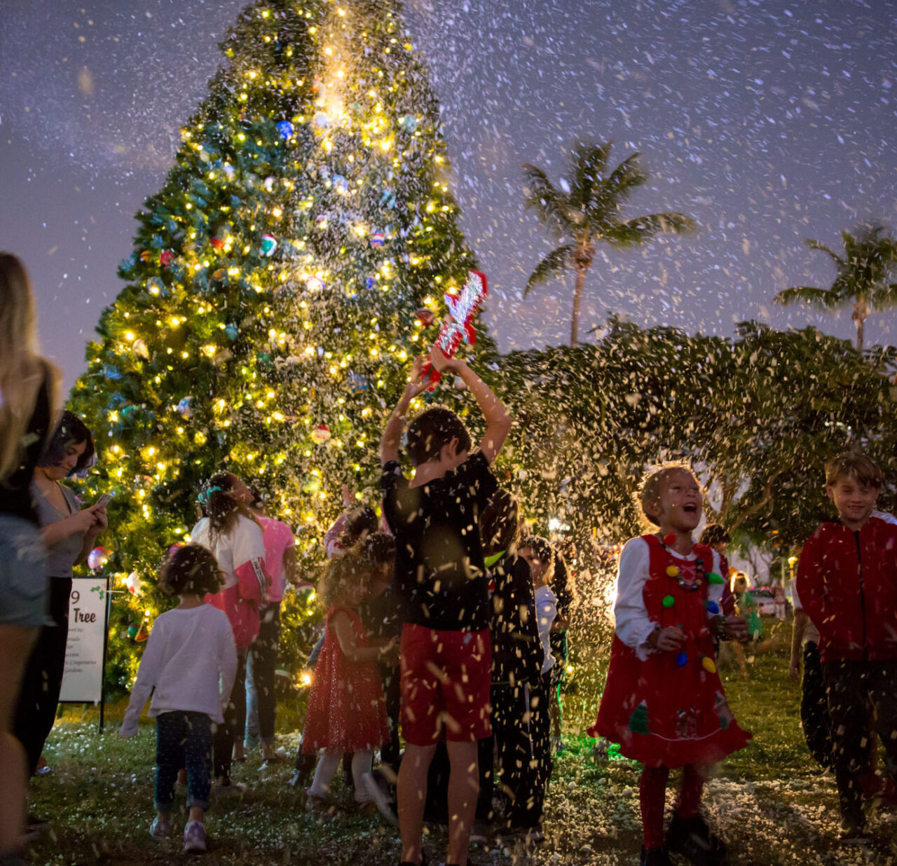 Islamorada Holiday Fest and Snow Mountain in Key West