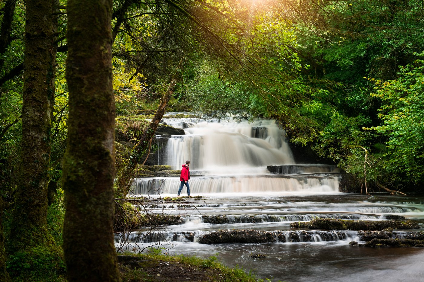 Person walking near a forest waterfall in Ireland’s Hidden Heartlands