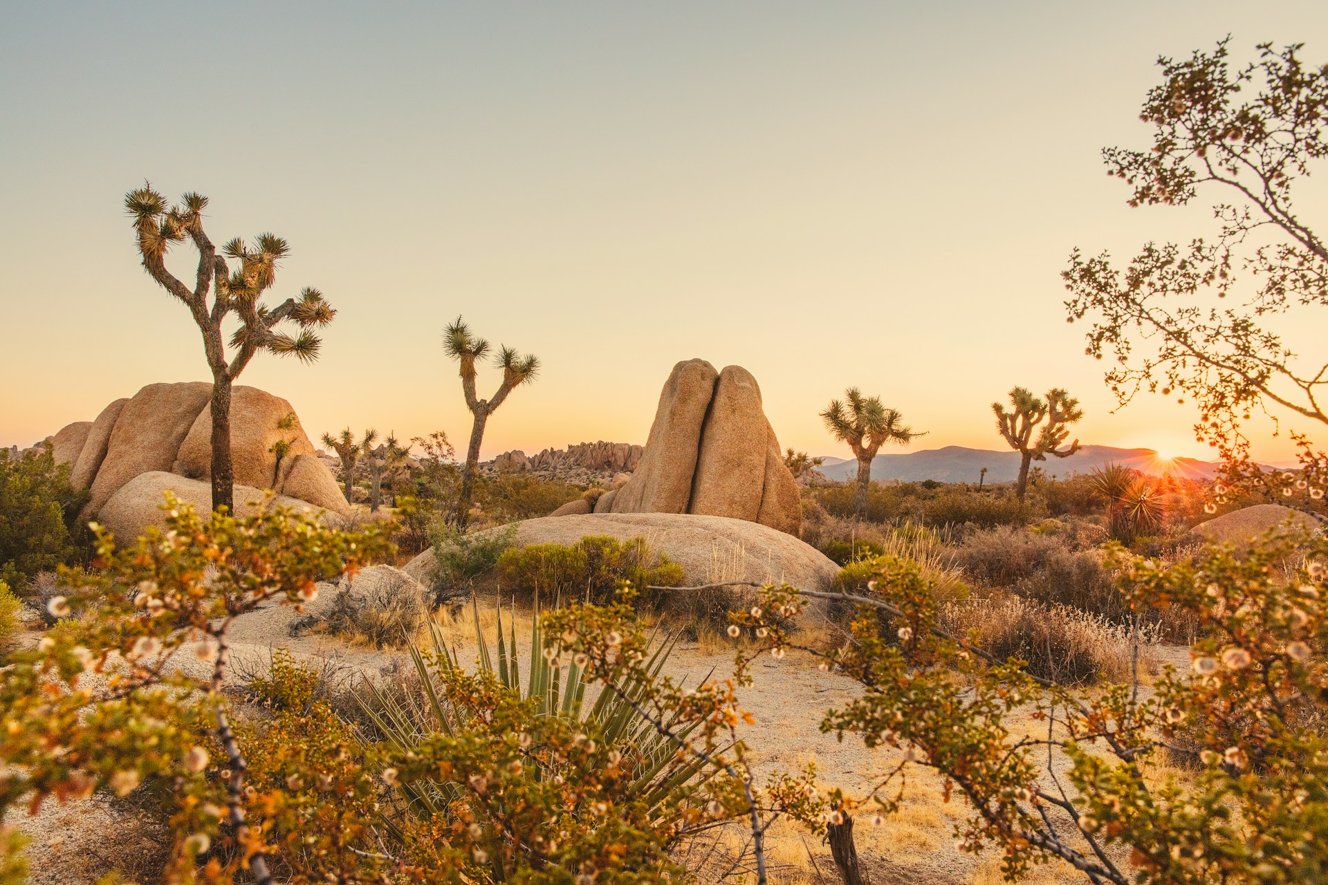 Desert landscape at sunset in a dark sky destination in the U.S.