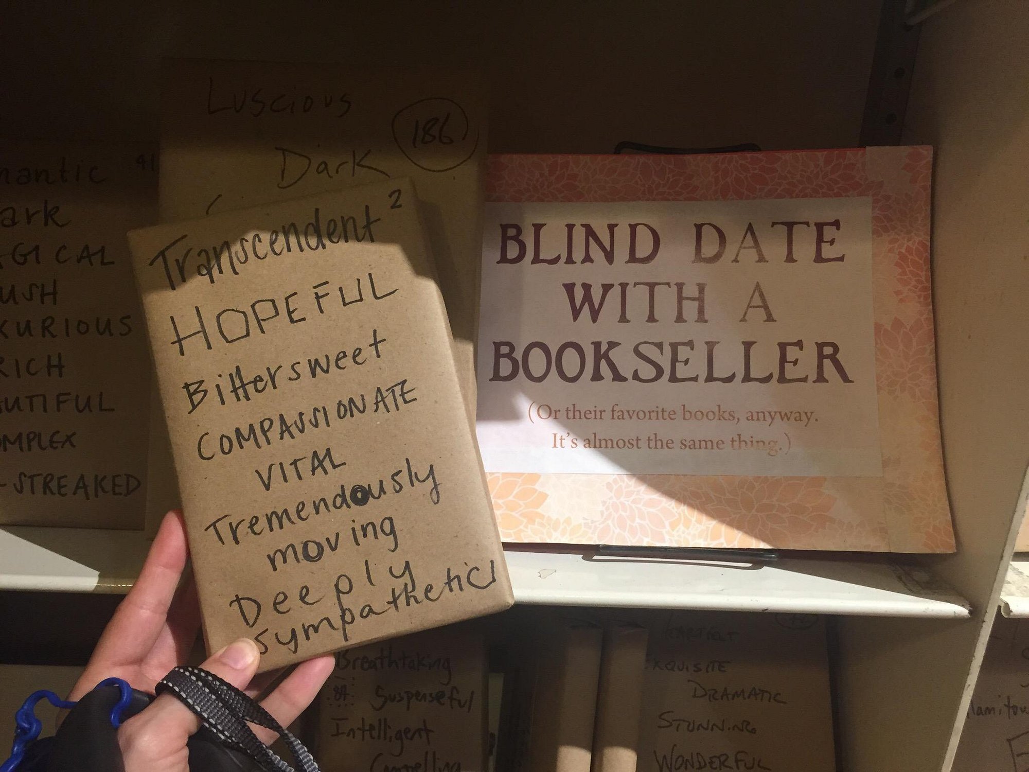 malaprops bookstore