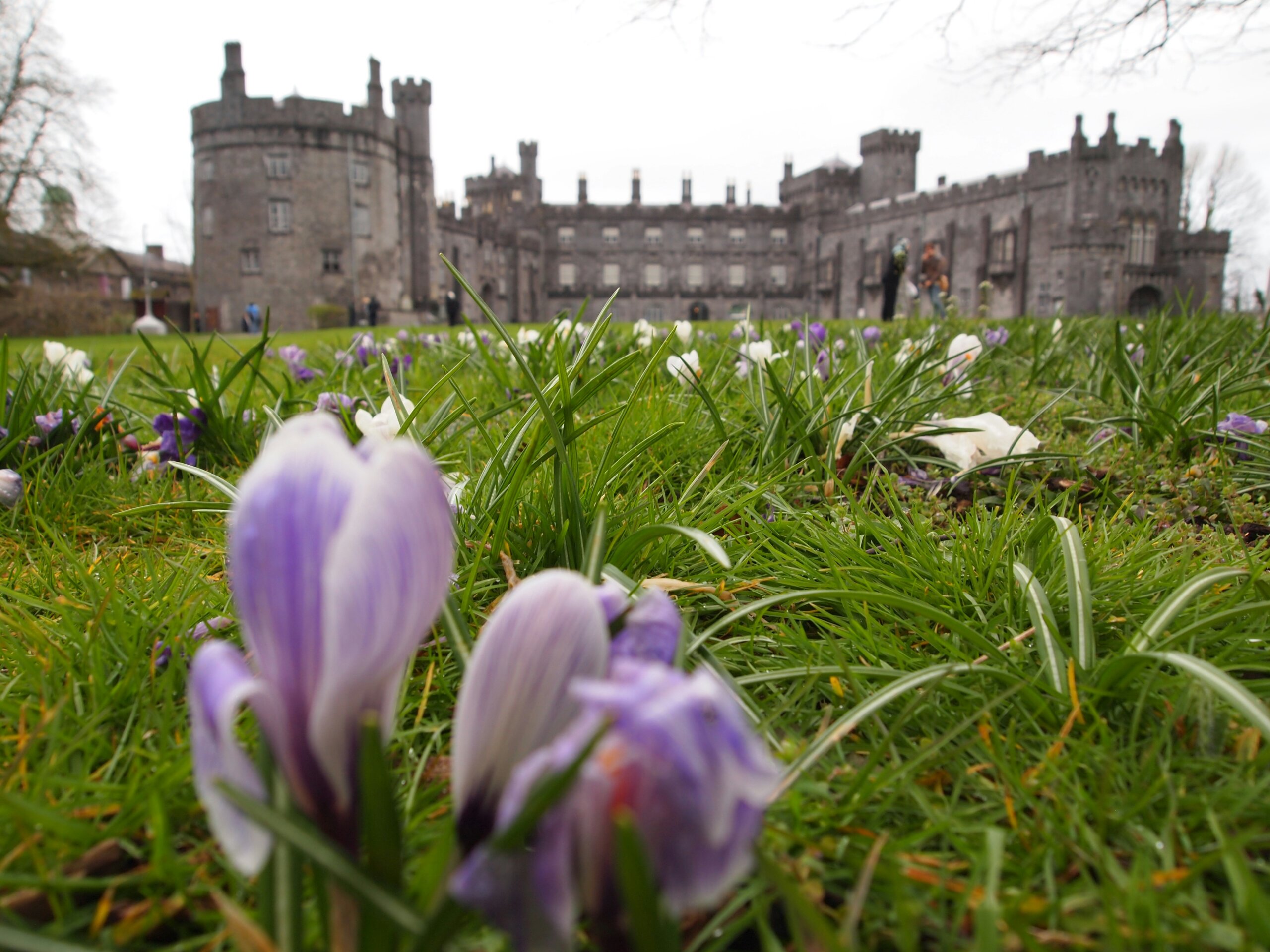 kilkenny