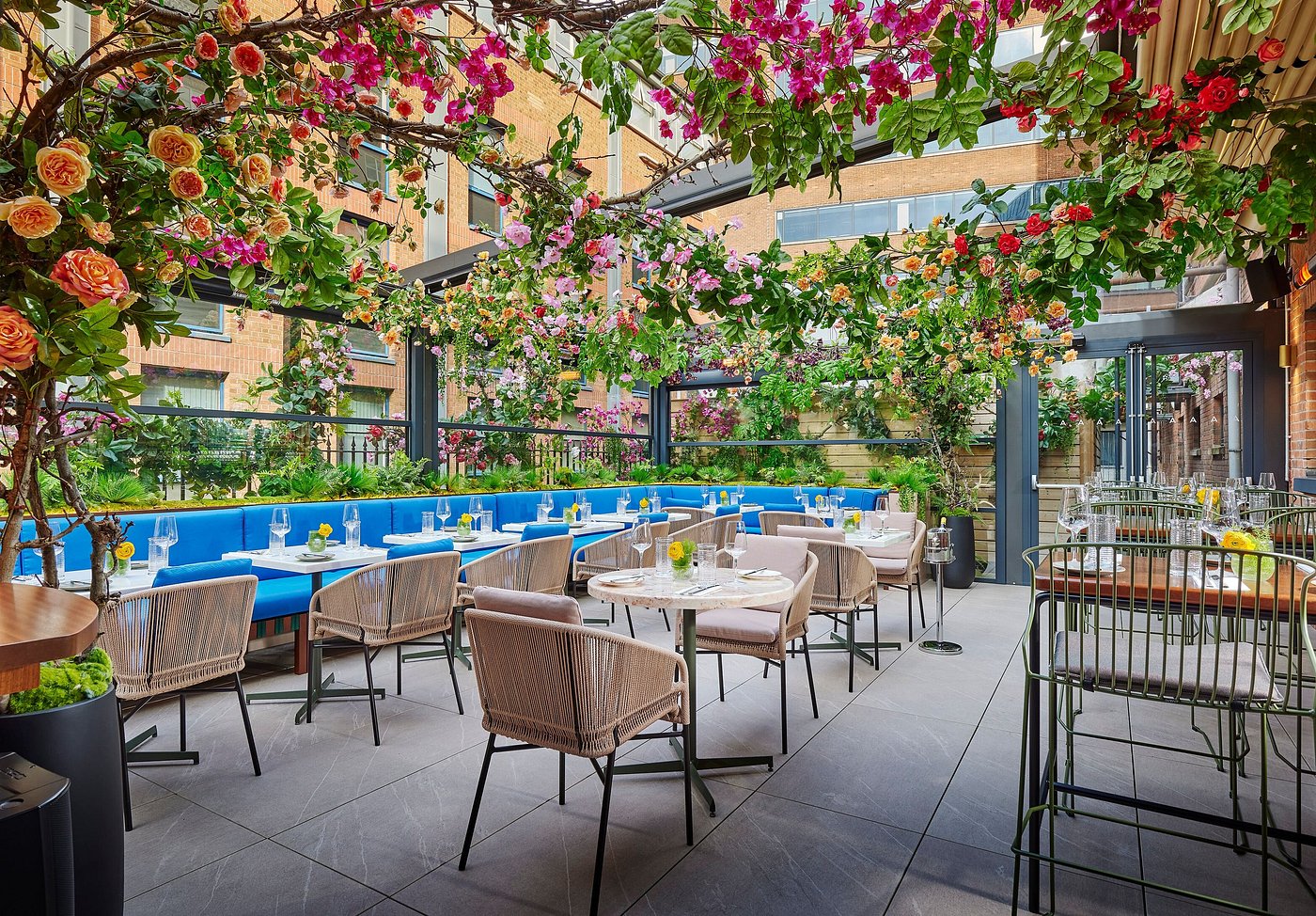 the alex hotel