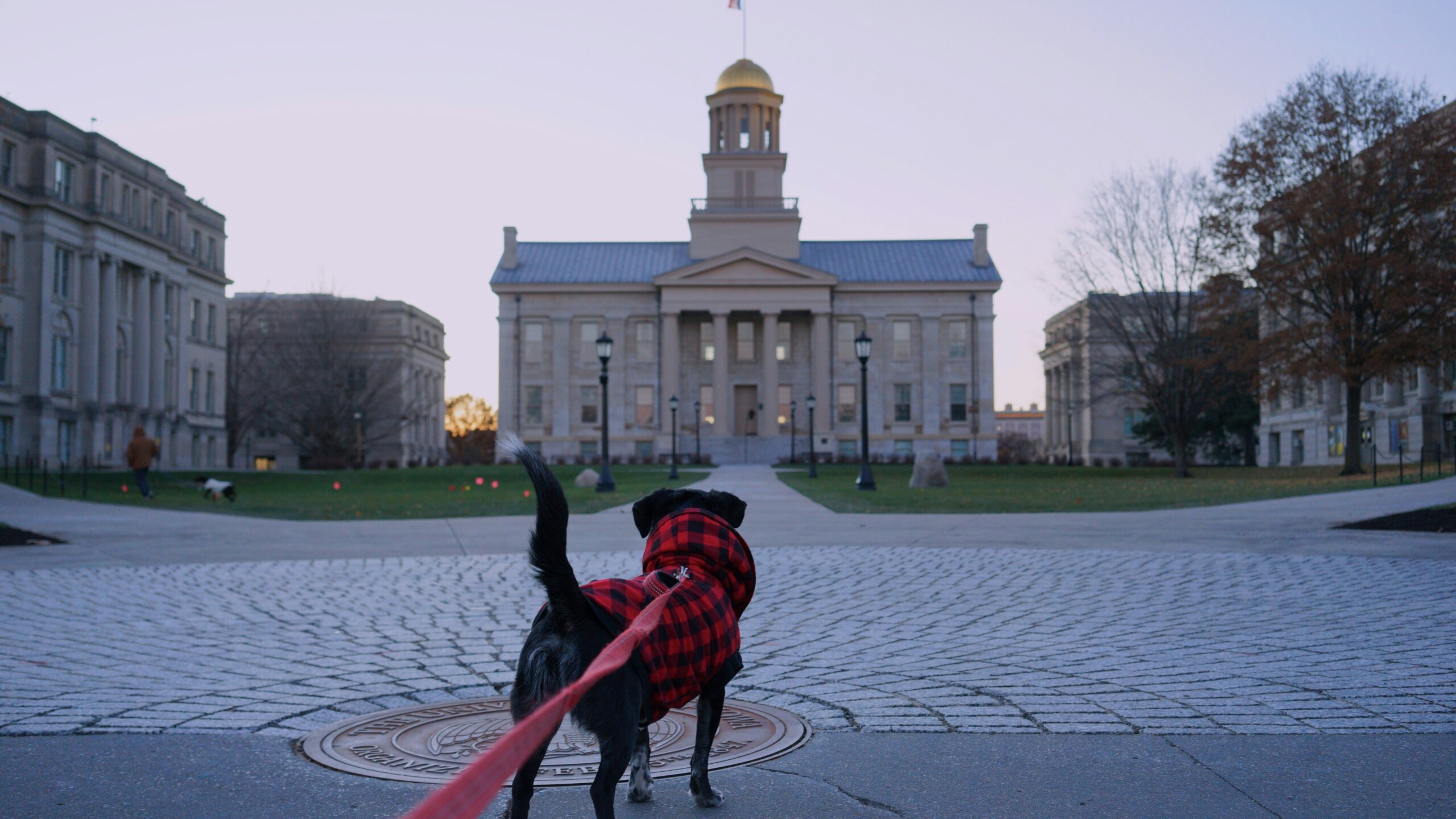 iowa city