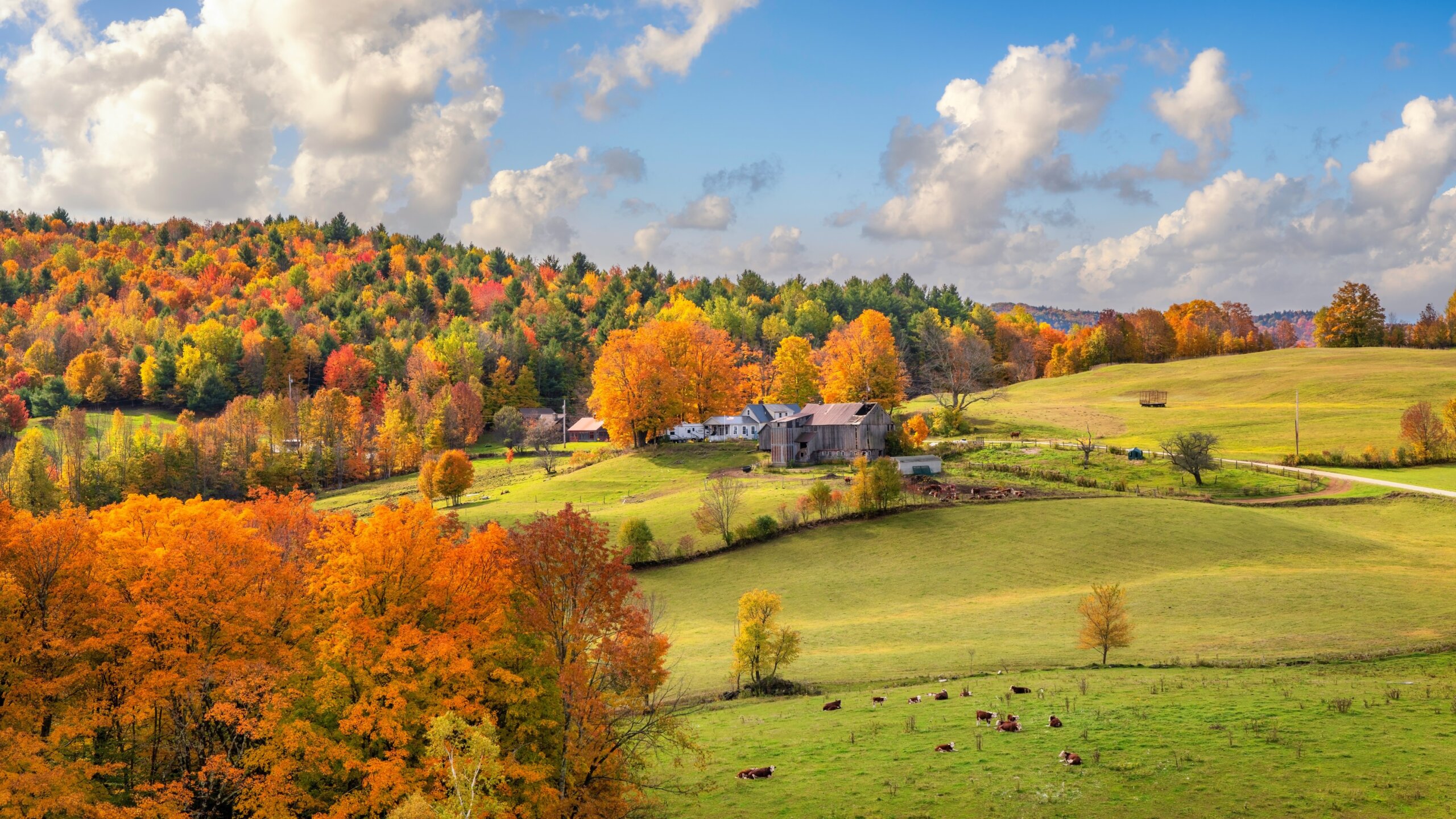 Rolling hills and farm buildings in Vermont during fall foliage season