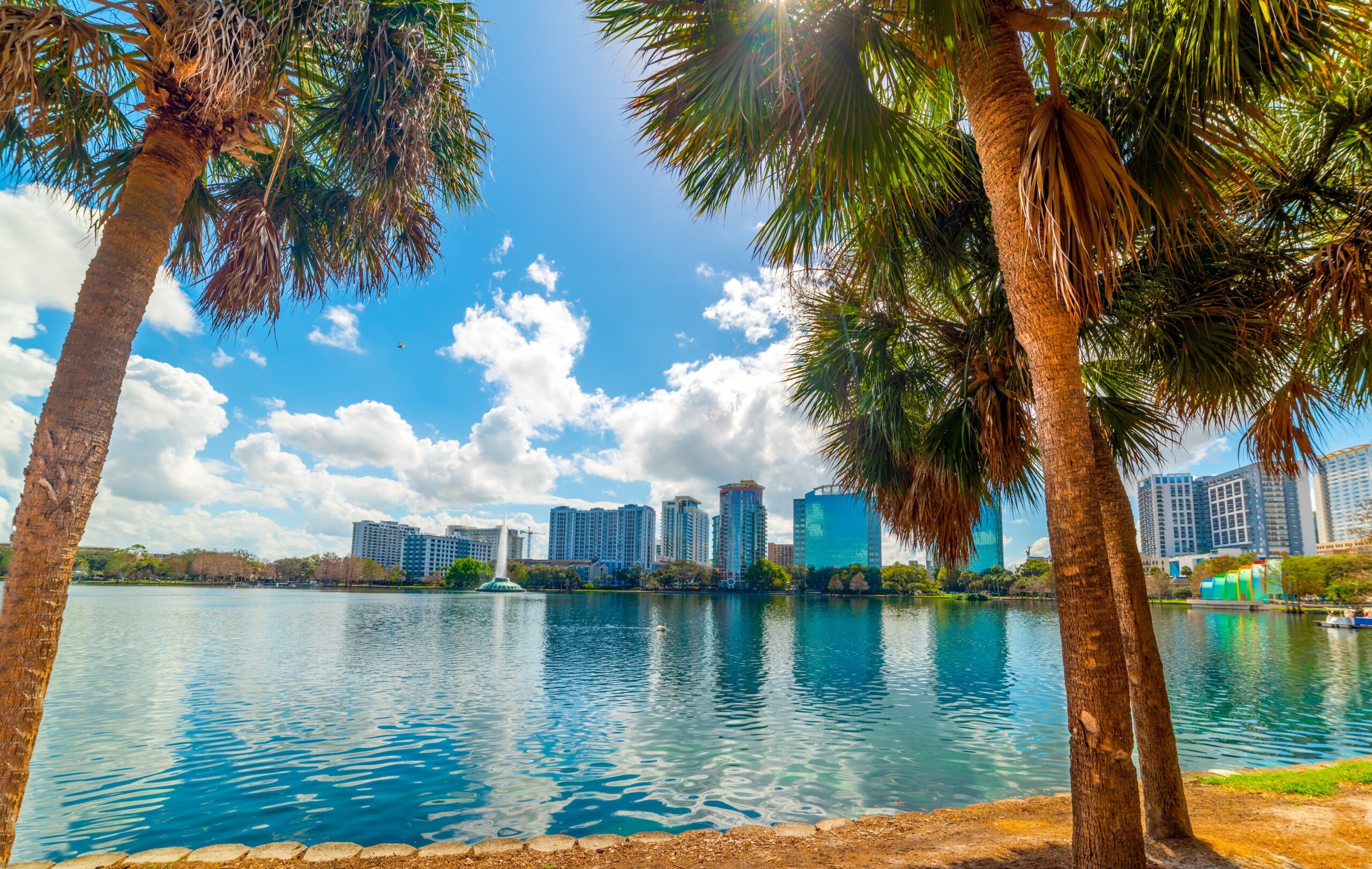 Palm trees with skyscrapers on the background in Lake Eola park in Orlando
