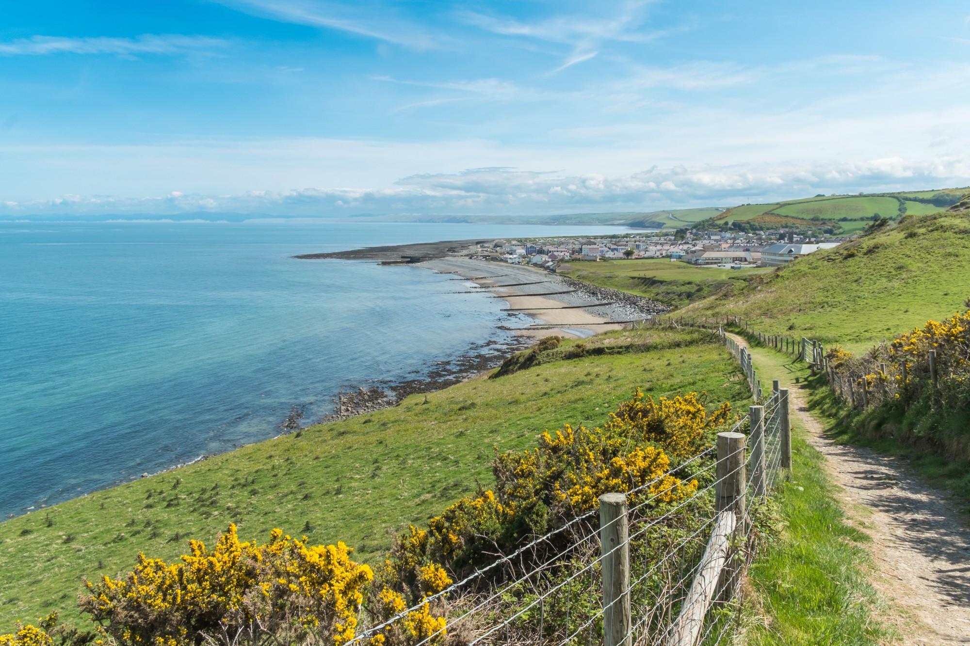 Coastal footpath with yellow gorse flowers overlooking Welsh village and blue bay with green hills