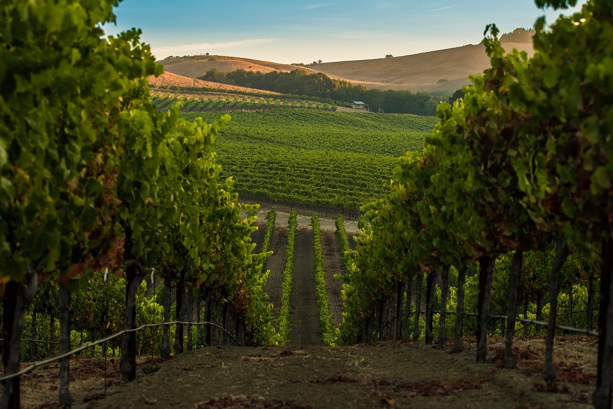 Vines and wines dominate Napa Valley, but here, the good life doesn’t stop at the glass.