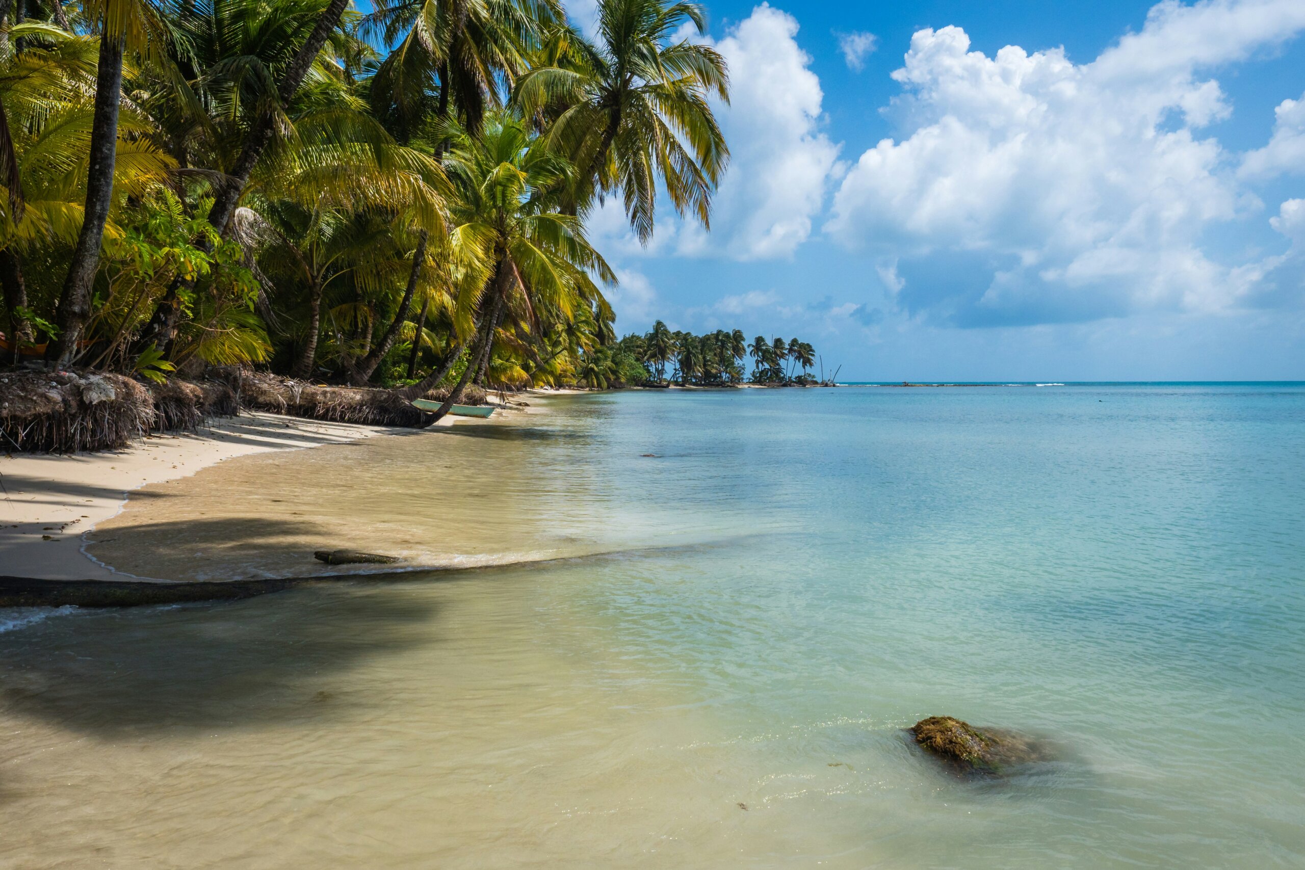 Palm-lined tropical beach in Nicaragua with turquoise water and soft sand