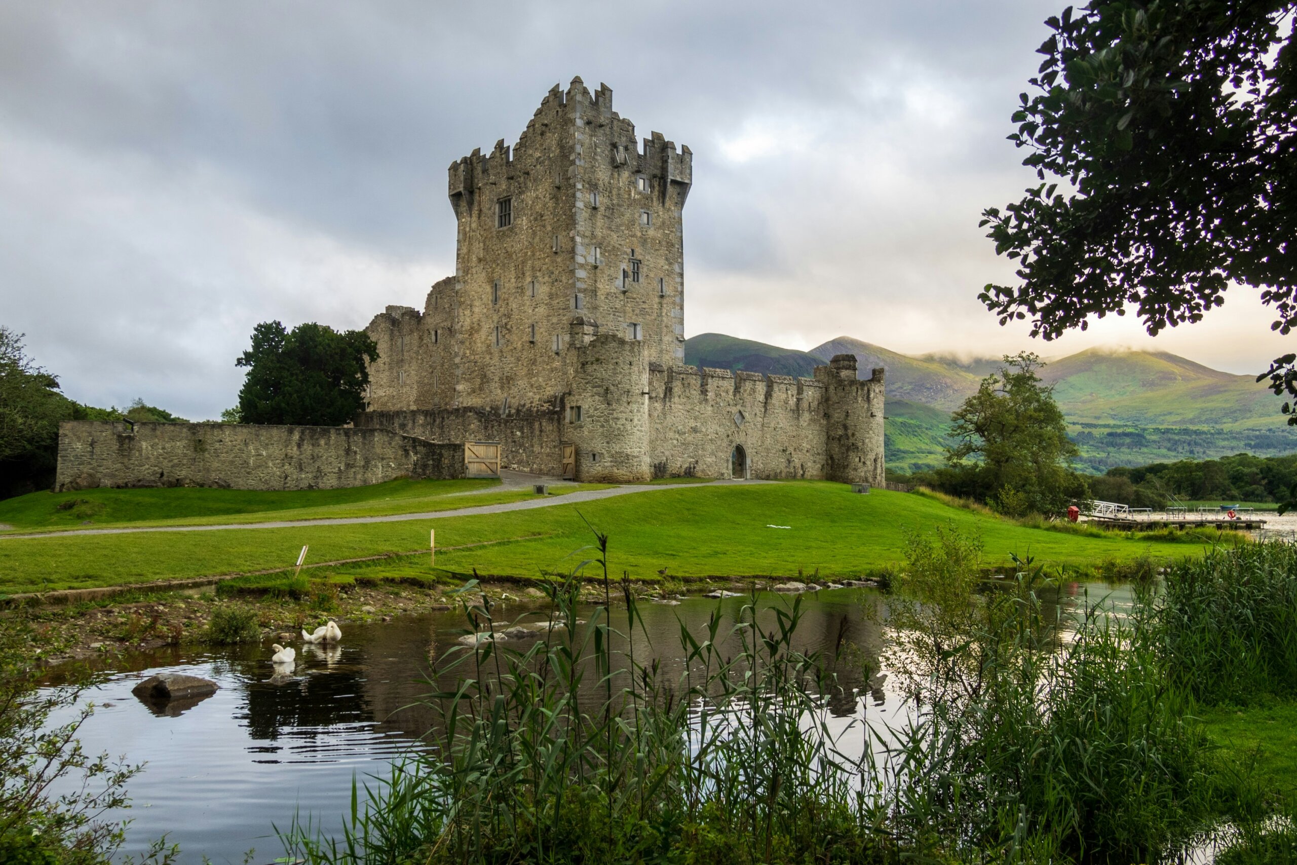 Ross Castle medieval tower house beside Lough Leane in Killarney National Park Ireland with swans and mountains