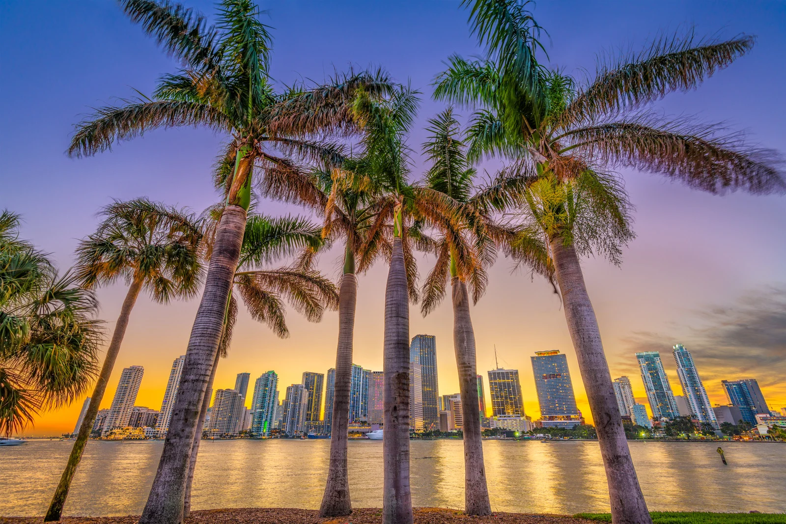 Palm trees and waterfront skyline in Florida representing the Anti-Florida movement and retirees searching for the best places to retire