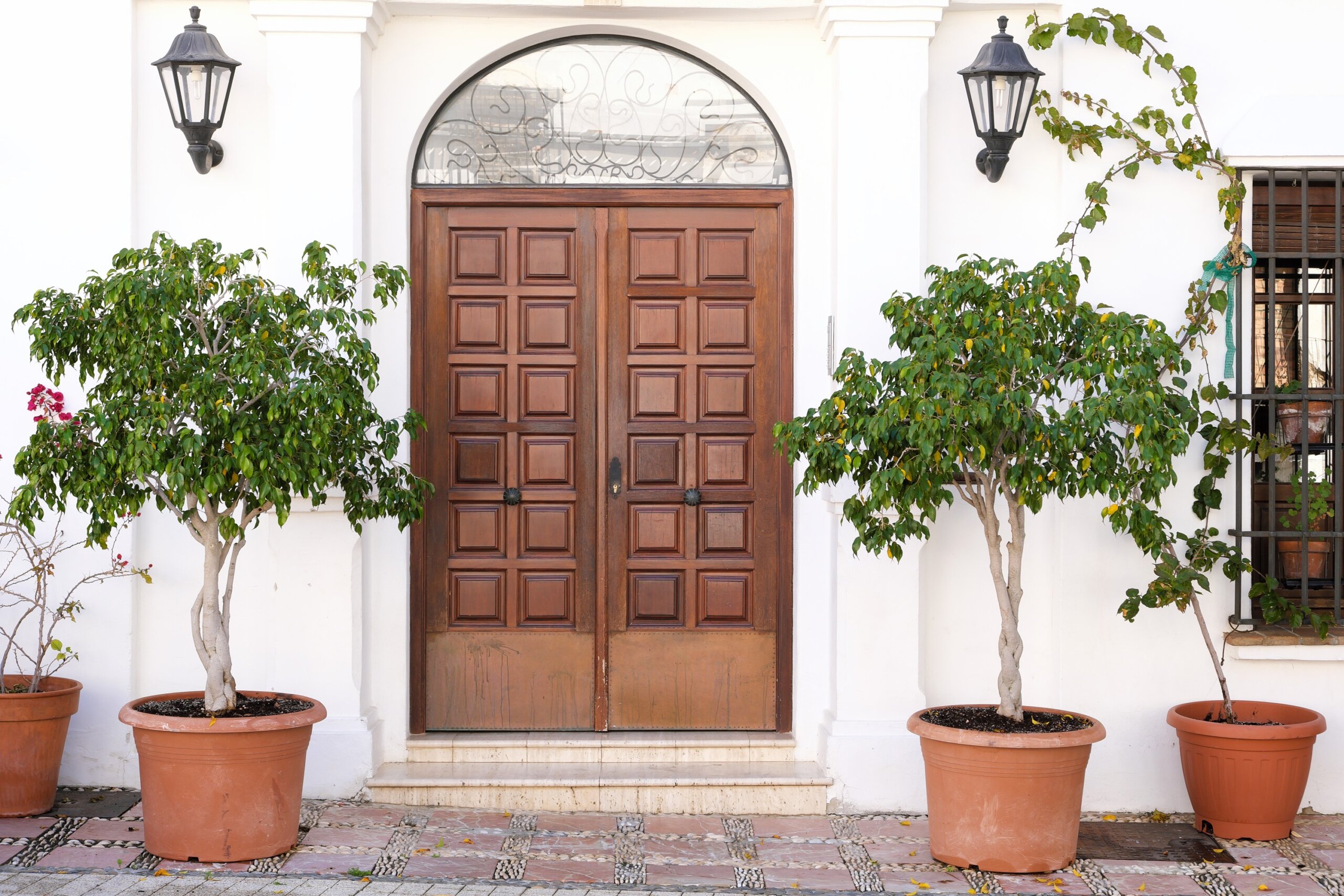 boutique luxury hotel entrance with wooden doors and potted trees