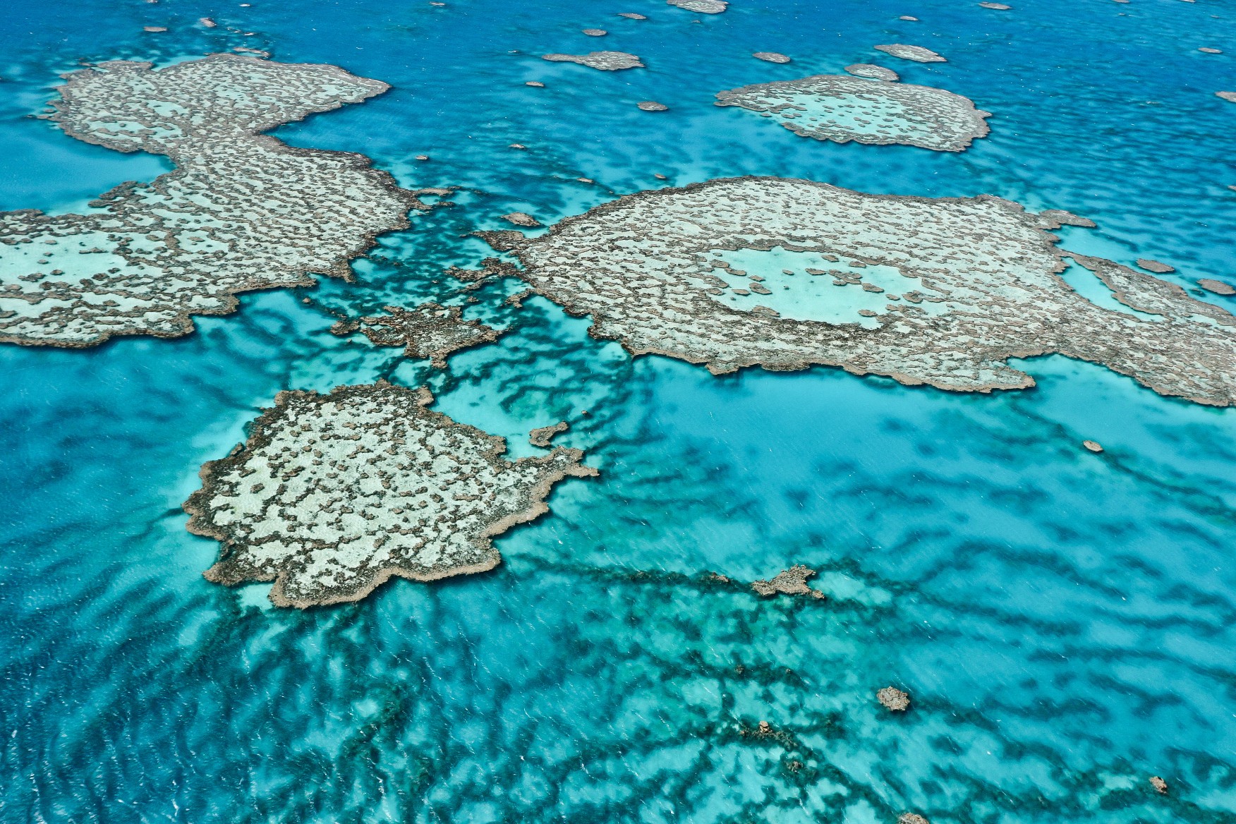 Great Barrier Reef in Queensland,Australia.
