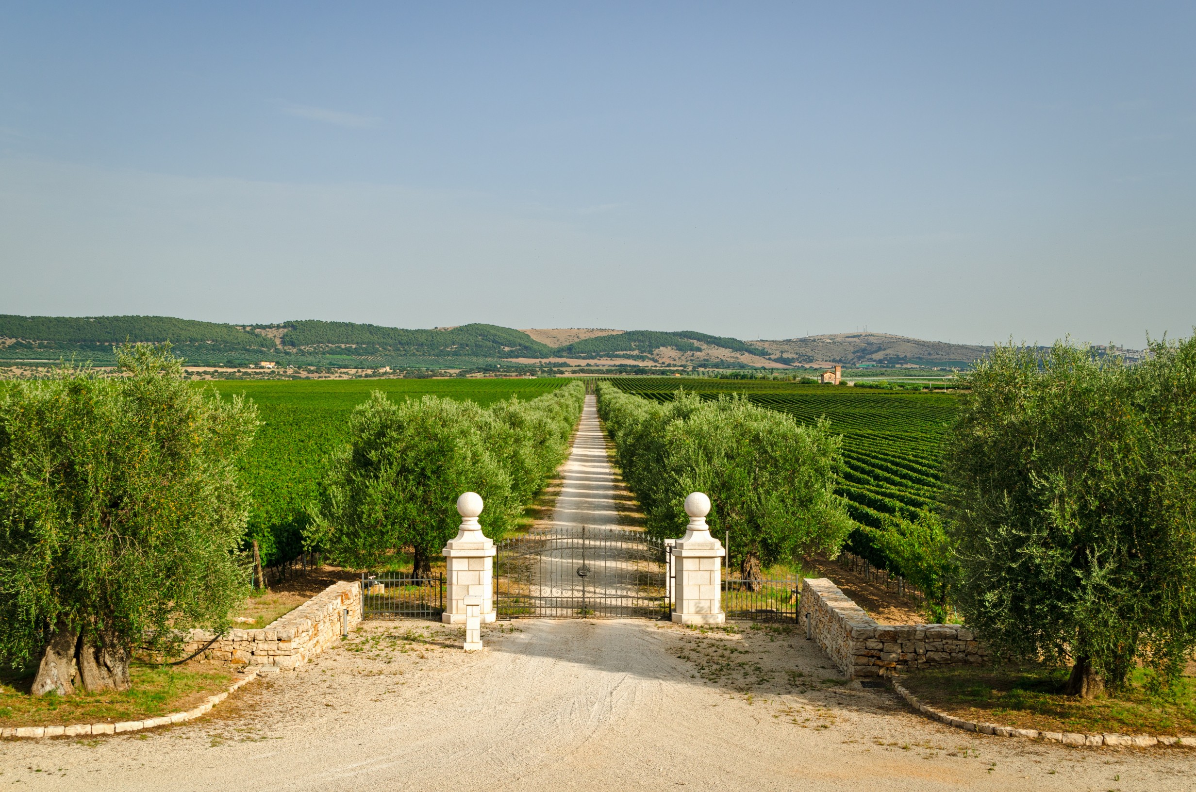 Italy, Villa entrance gate and estate (Puglia)
