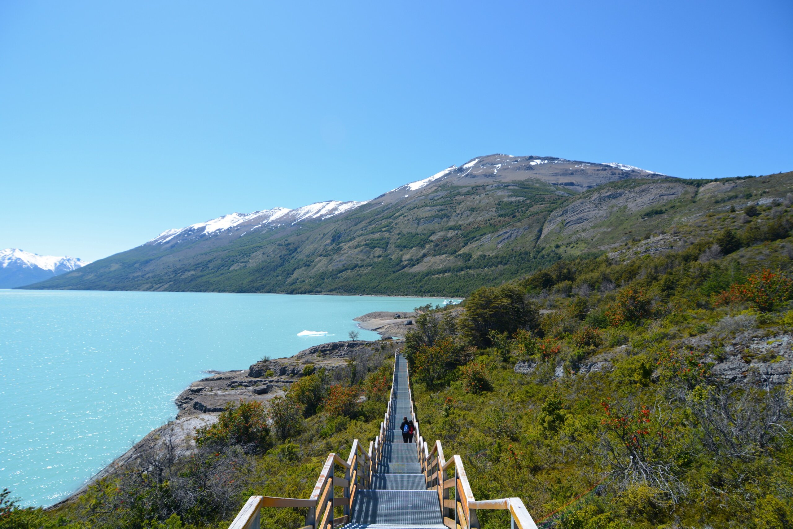 EL CALAFATE