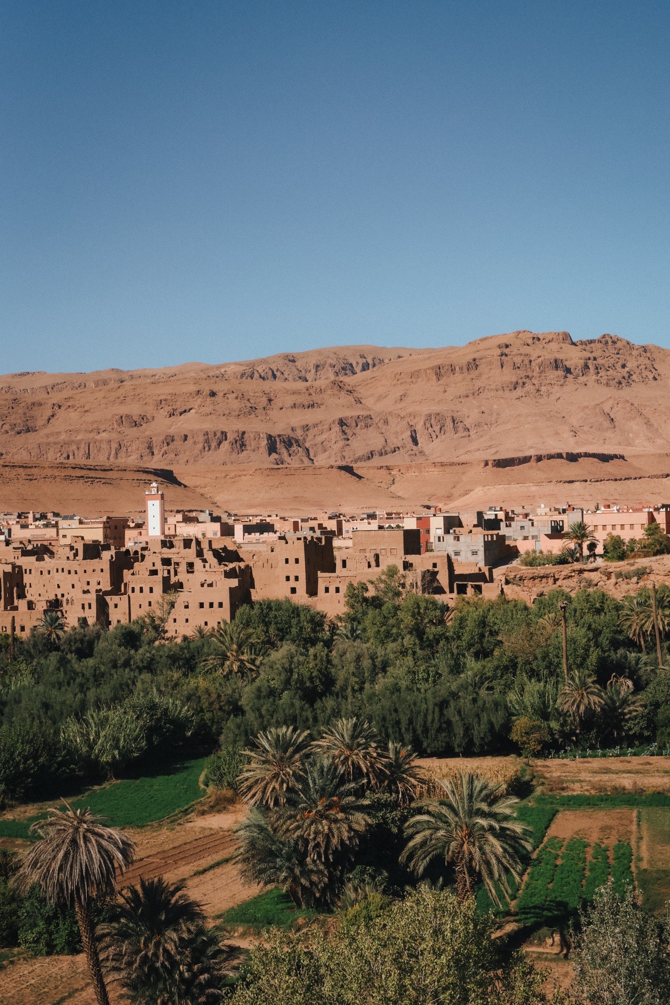 Palm oasis and desert village in Morocco along the Fes to Marrakesh road trip route