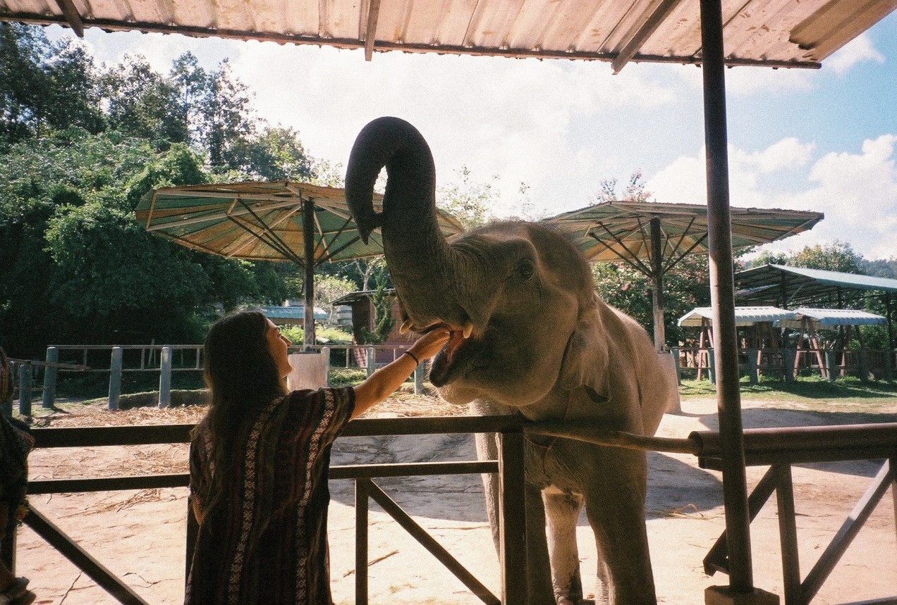 Traveler interacting with an elephant during a trip abroad after visiting 40 countries