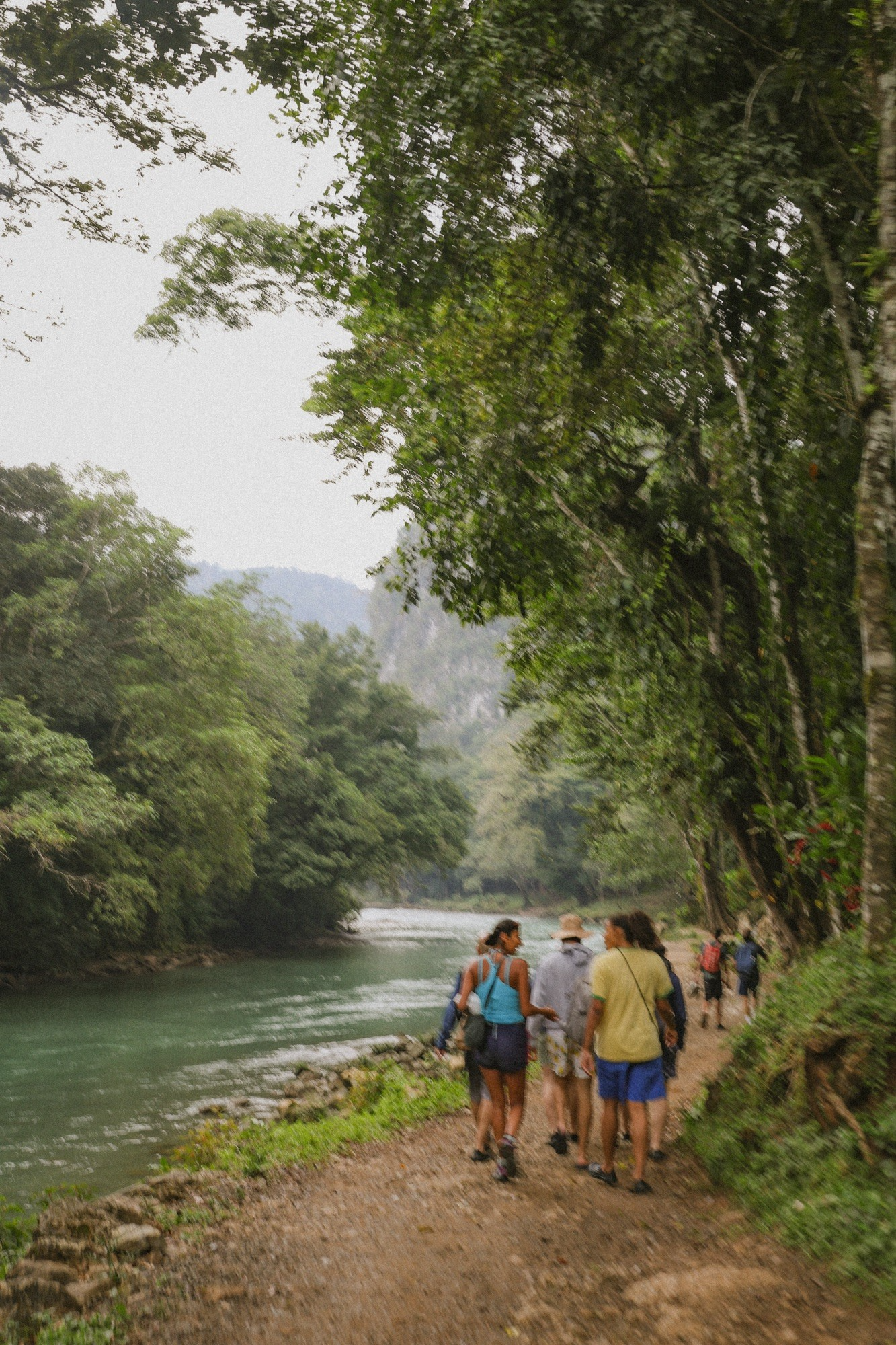 Entering the jungle in the early morning of the tour. 
