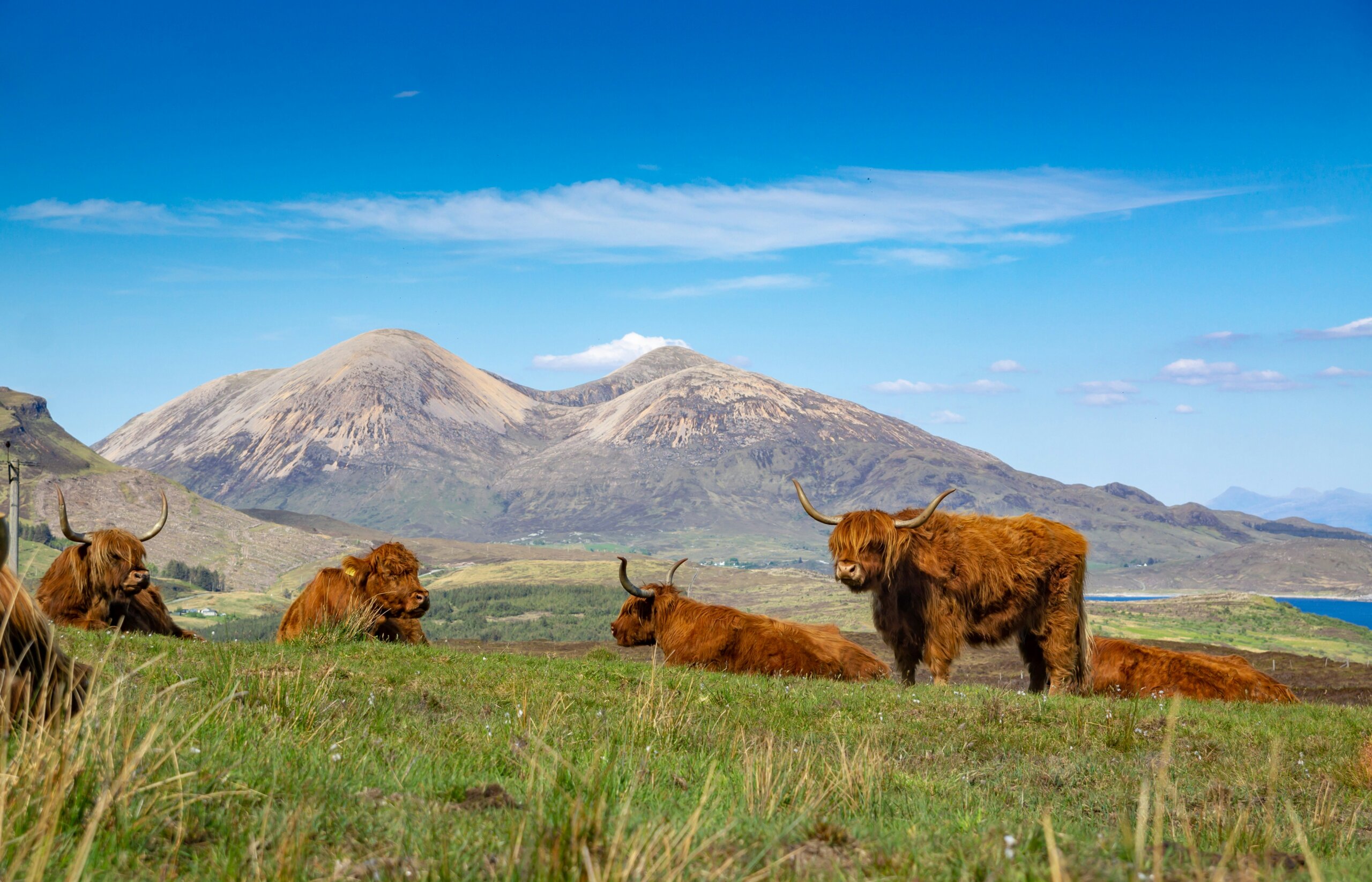 scottish highlands