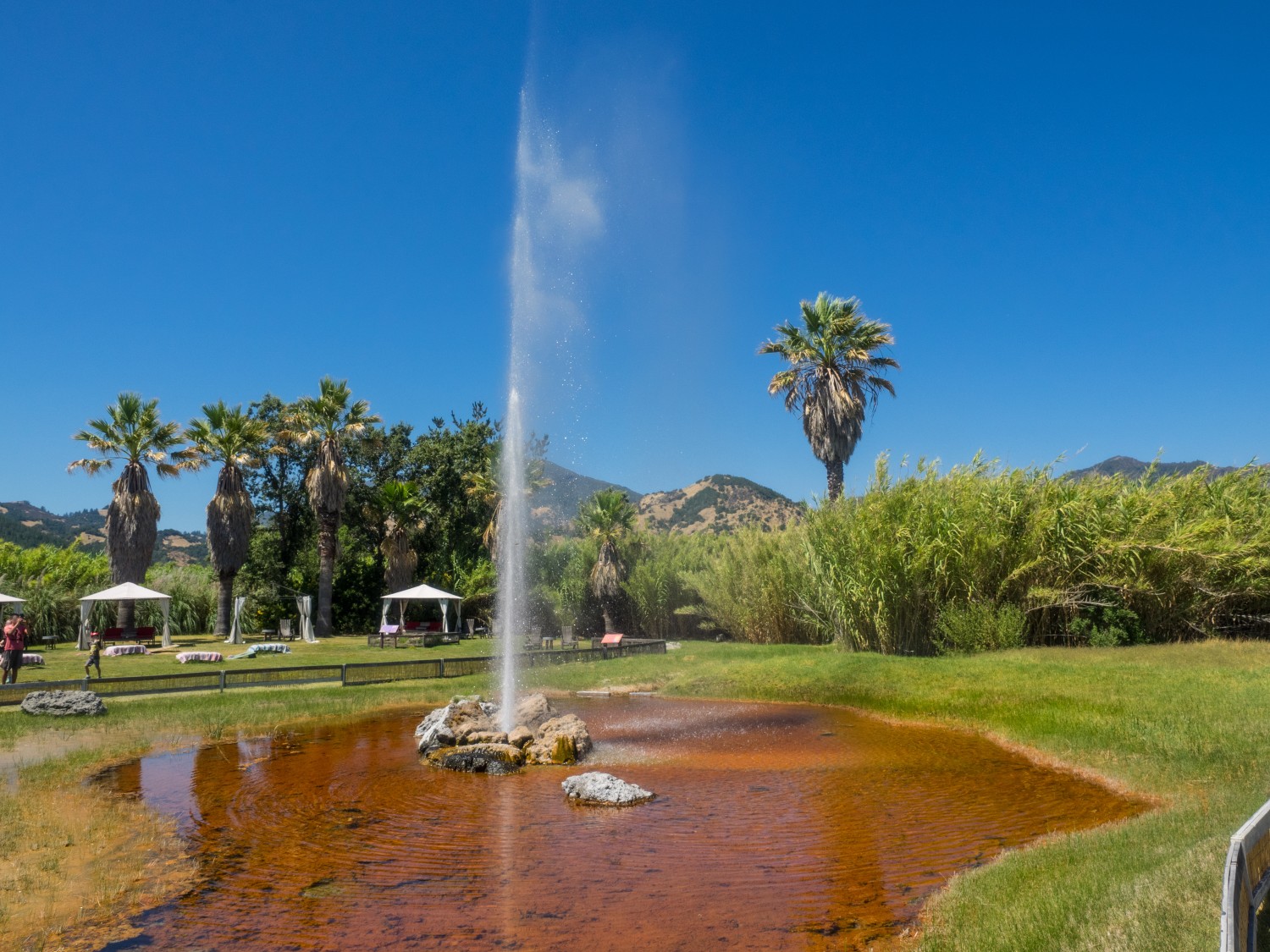Old Faithful Geyser of California