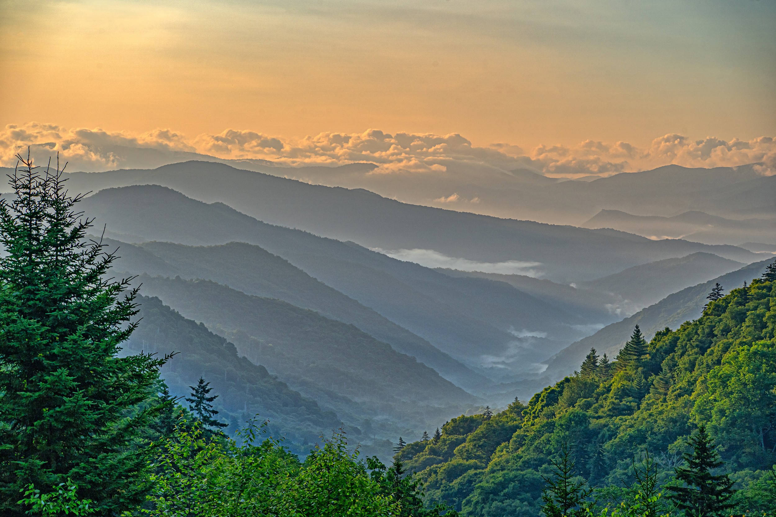 Great Smoky Mountains National Park