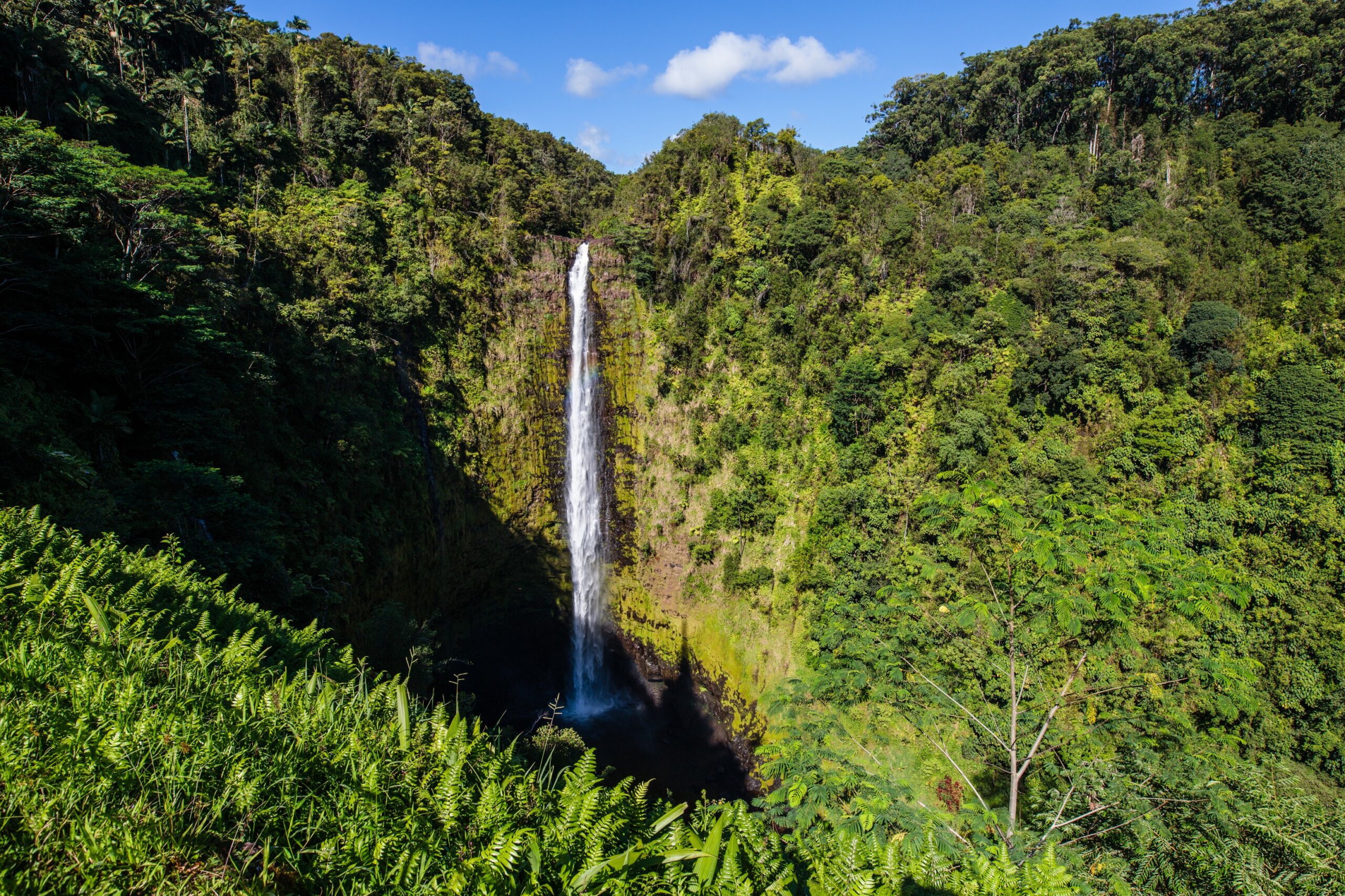 Akaka Falls
