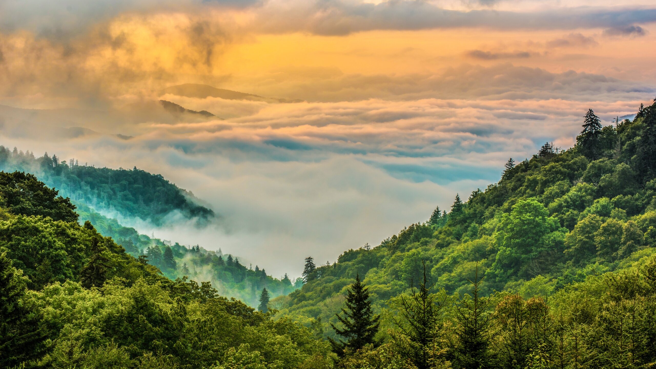 Fog covered Great Smoky Mountains National Park at sunrise