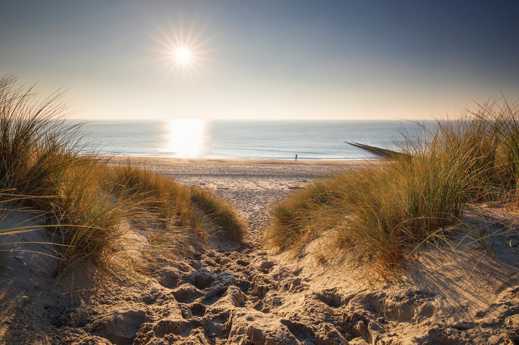 quiet beach sunrise with sand dunes and calm ocean for a safe and smart spring break travel idea