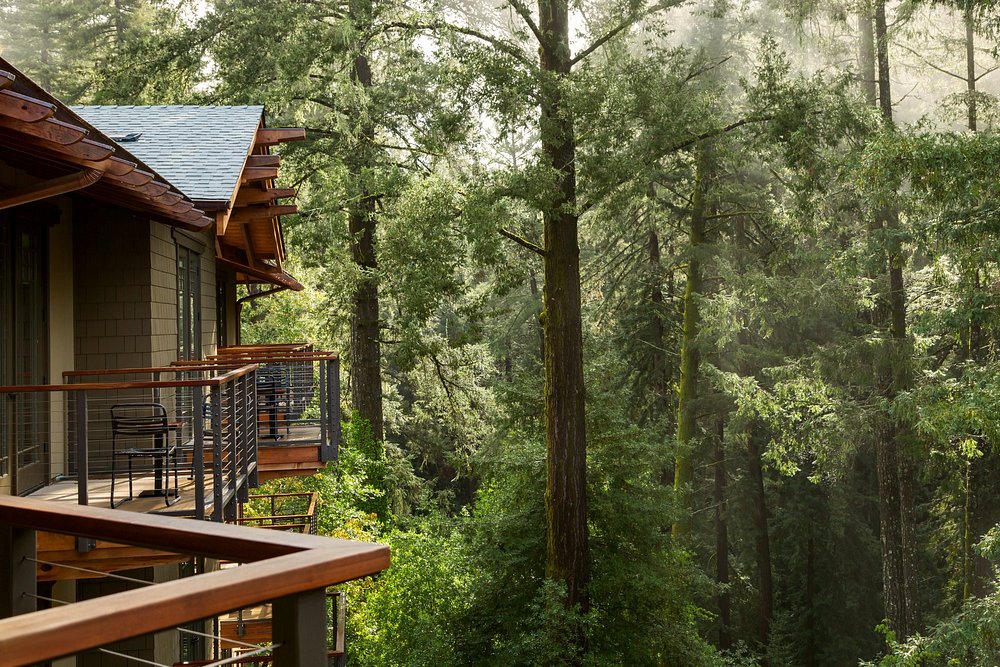 Balcony of Sayanta lodging looking onto the redwoods where you can walk the trails