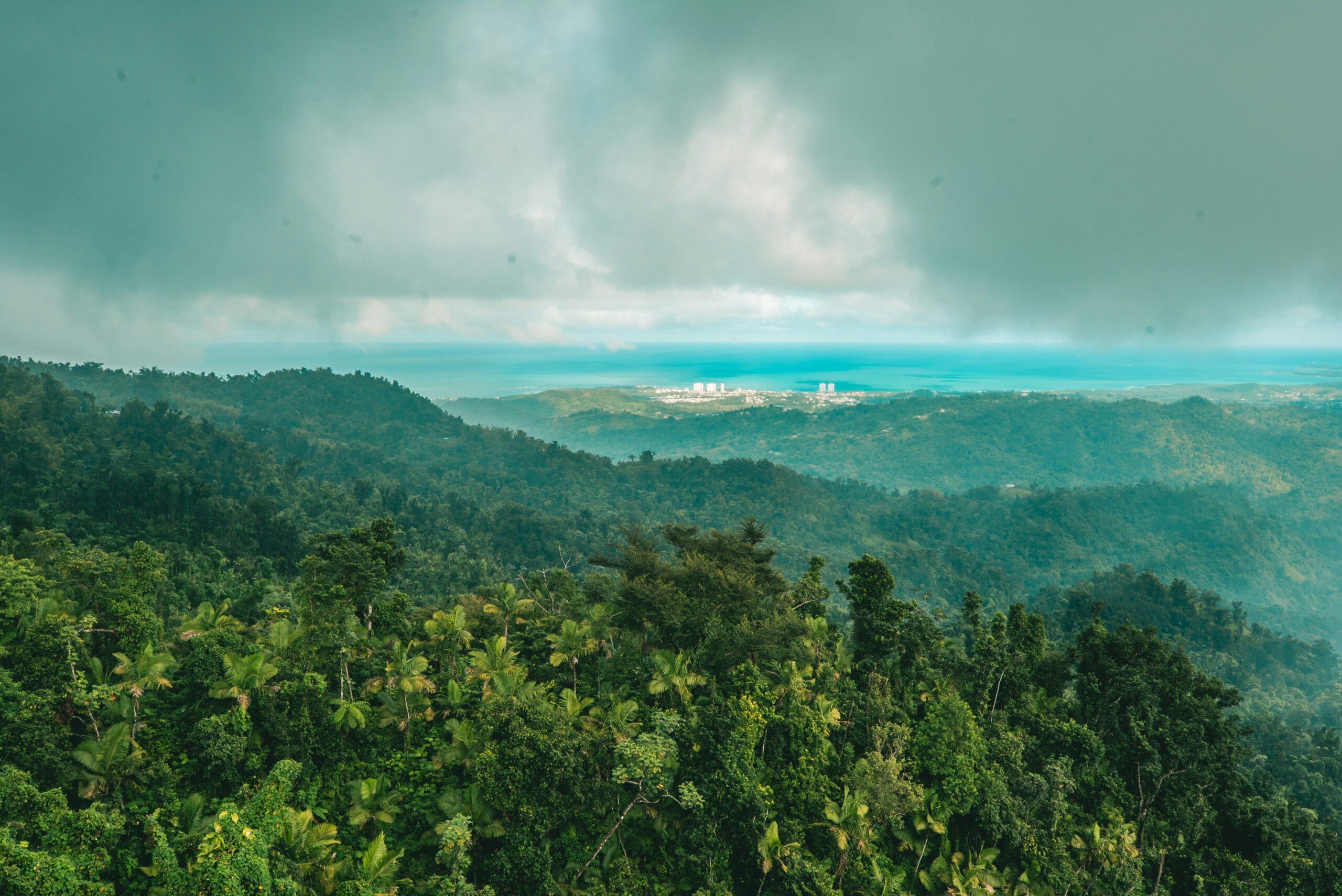 el yunque national forest