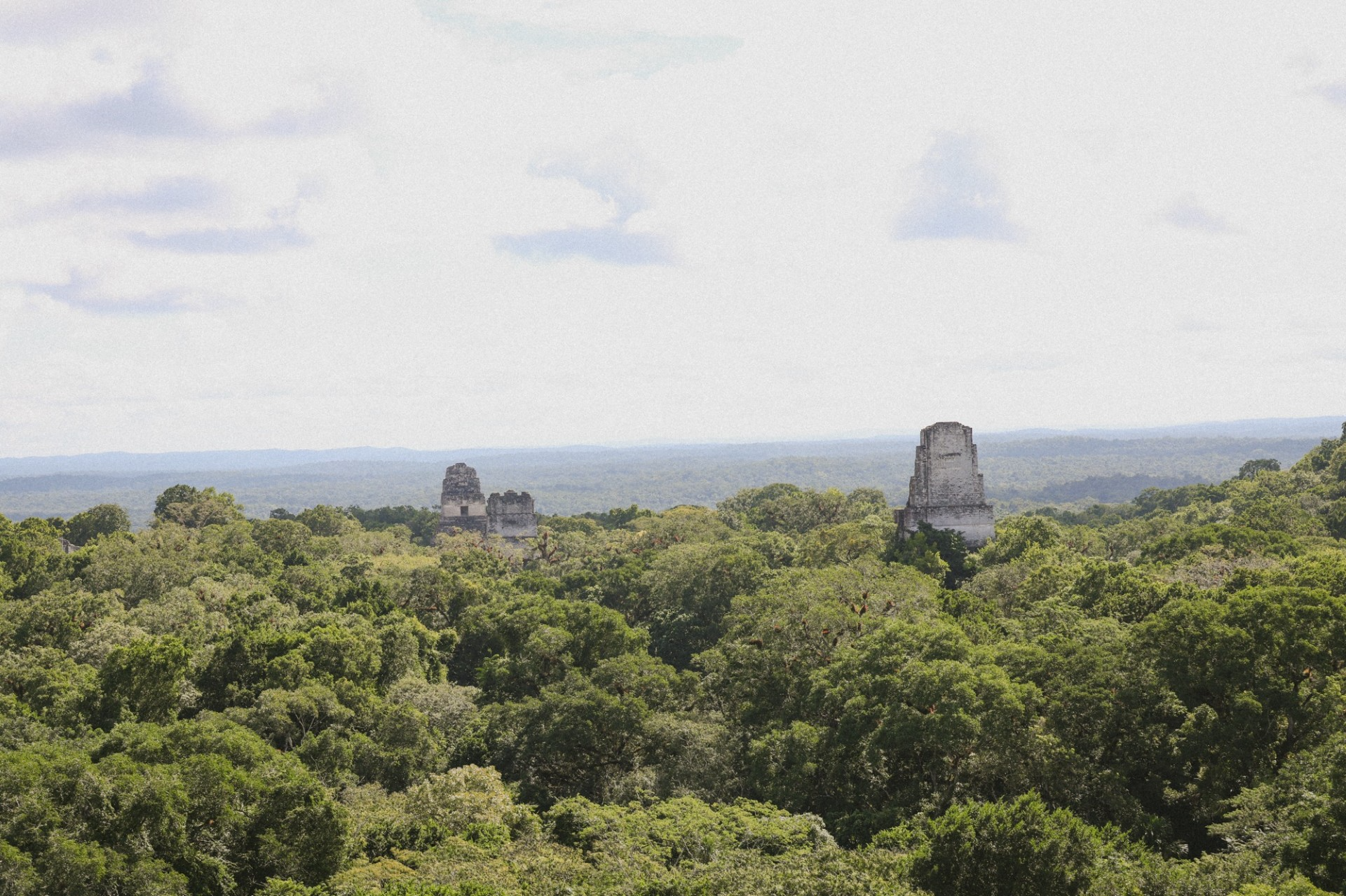 Views from the top of one of the main temples. 
