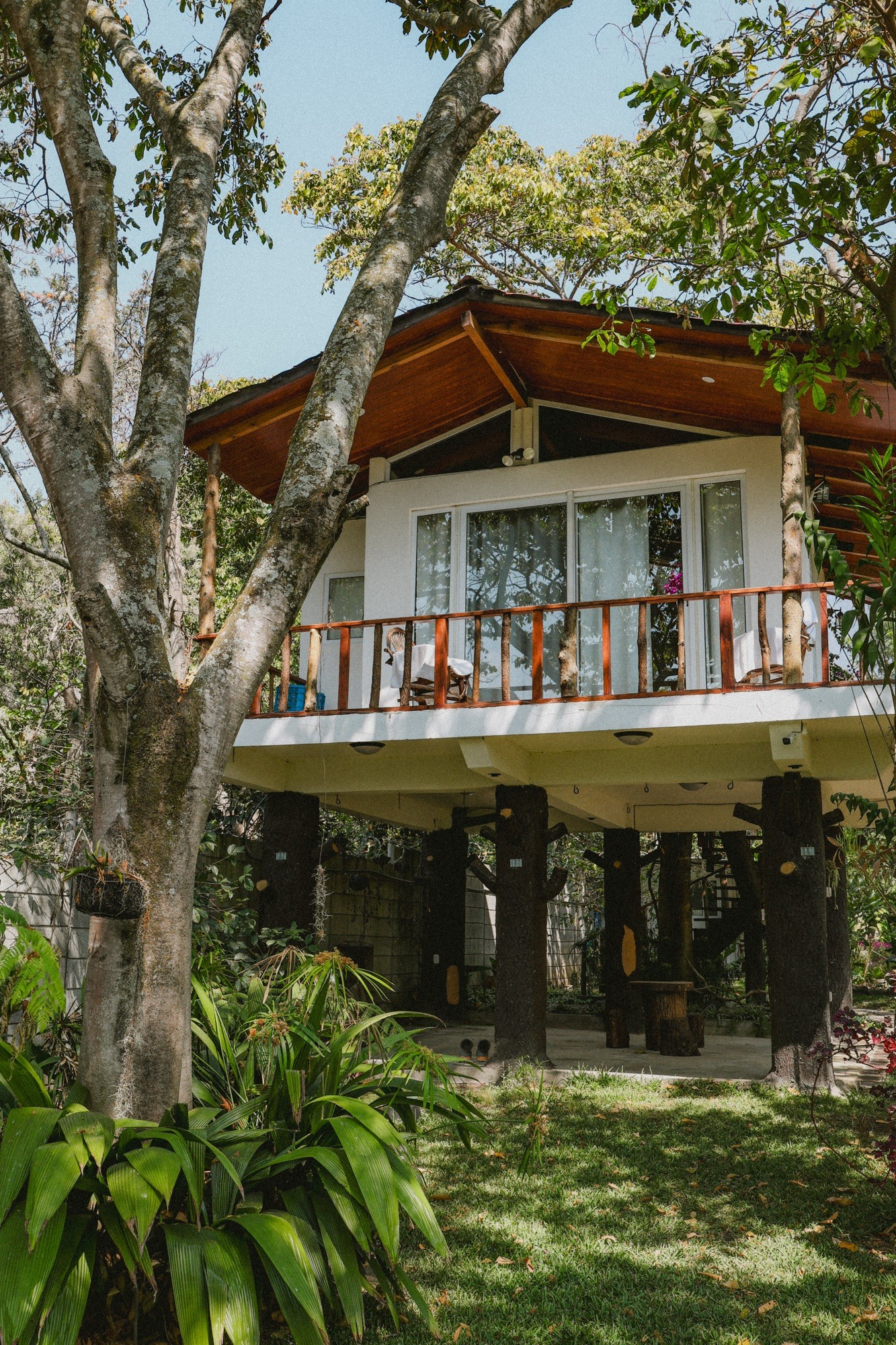 Our lovely treehouse in San Pablo La Laguna. 
