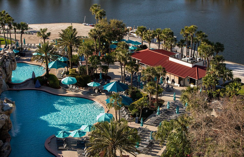 Orlando resort pool and lagoon surrounded by palm trees near theme parks
