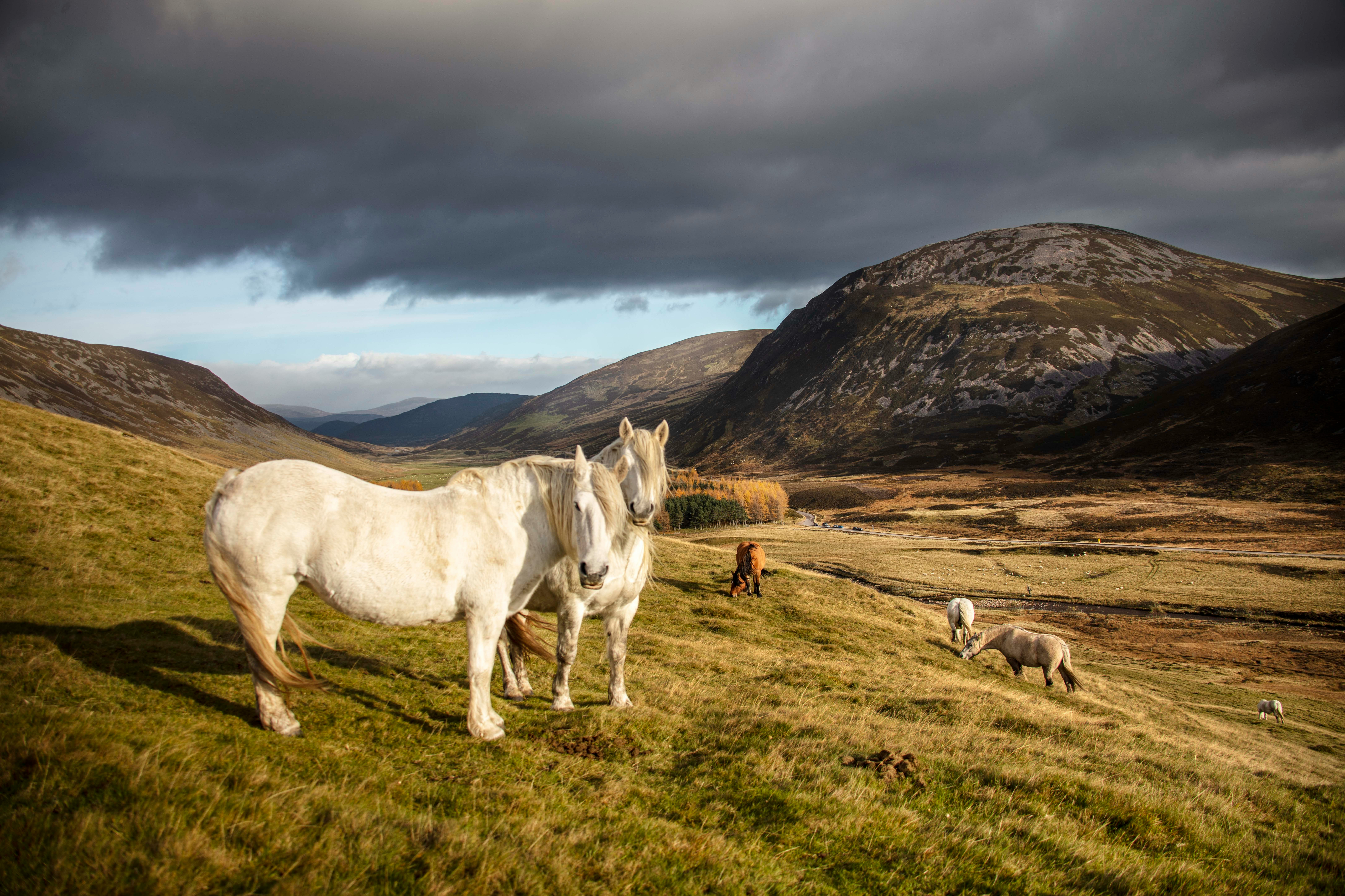 braemar, scotland