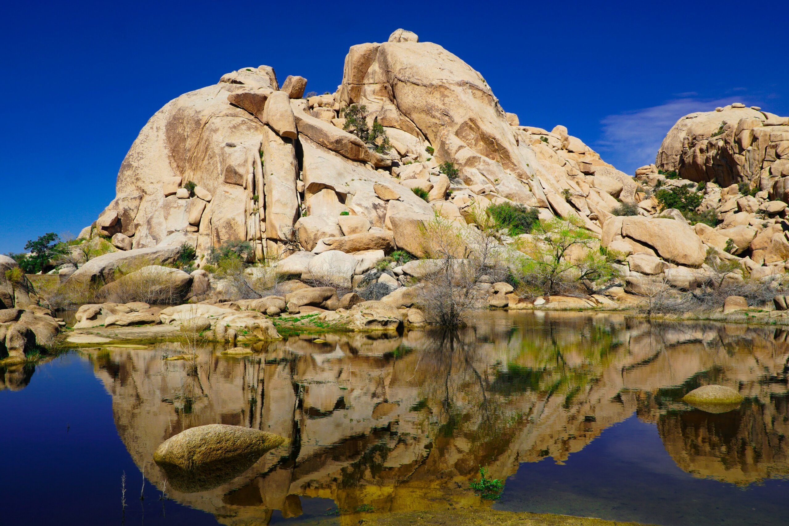 rock formations reflected in water joshua tree national park scenic desert landscape