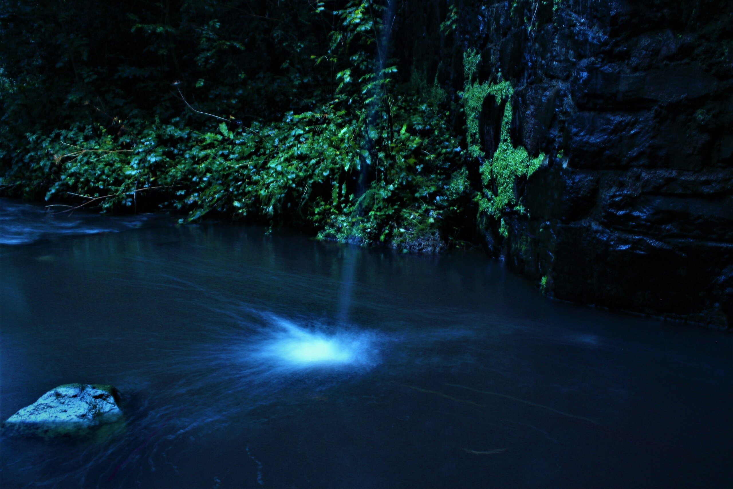 bioluminescent water