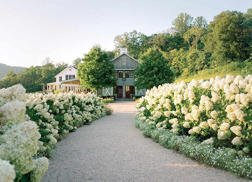 Pippin Hill Farm & Vineyards - The Granary and hydrangea path in summer. 
