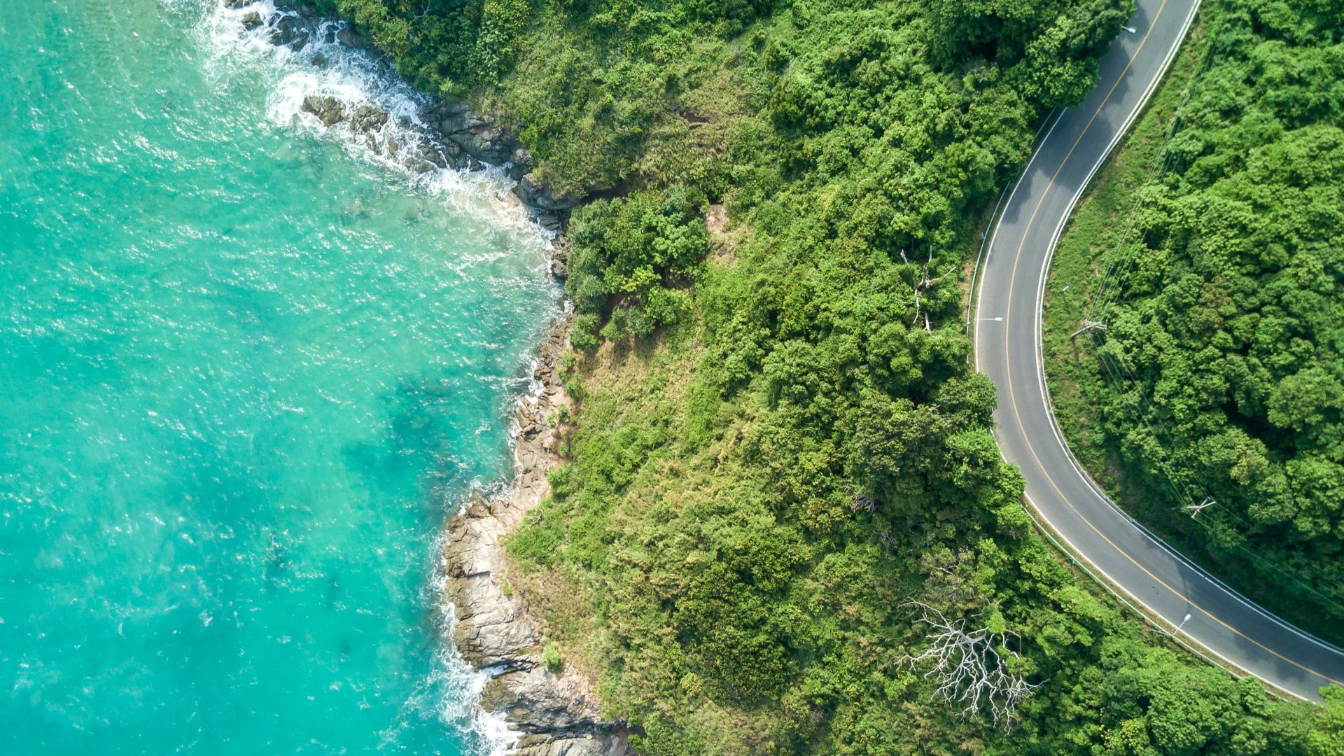 aerial view of winding coastal road beside turquoise ocean and green shoreline