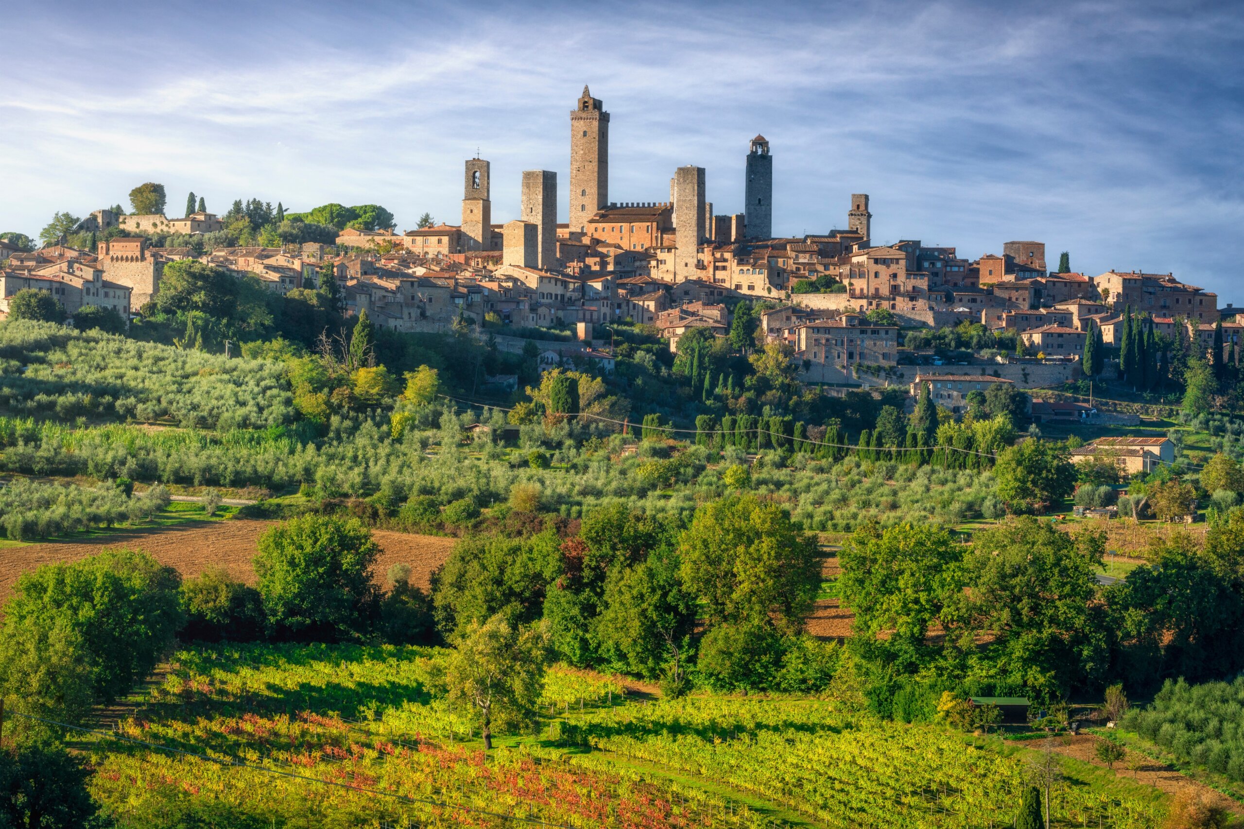 San Gimignano Skyline Above Tuscan Vineyards and Olive Groves, Italy