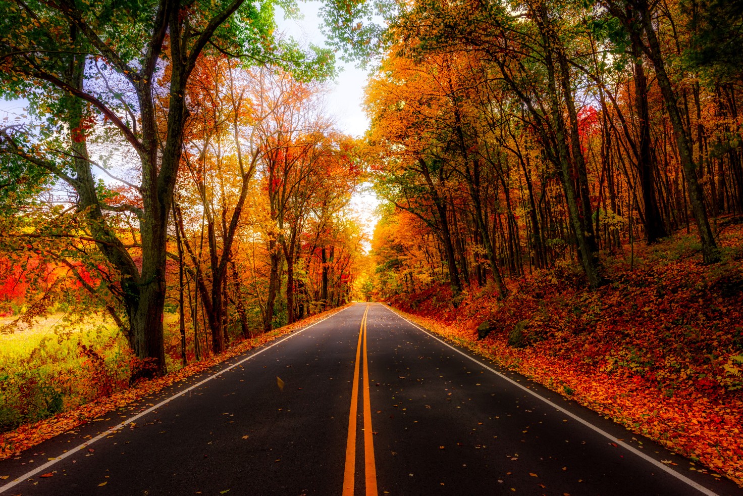 New England Fall