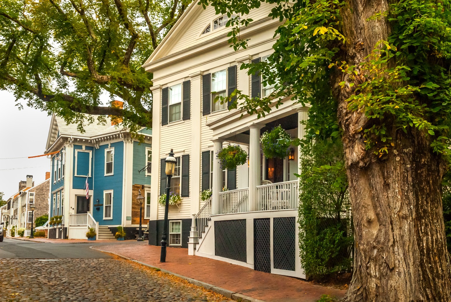 historic New England homes on cobblestone street with trees and classic architecture