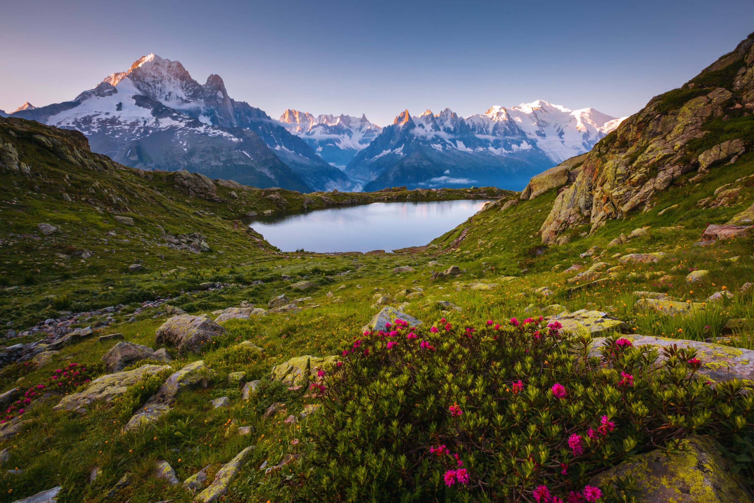 Lac Blanc in the French Alps with mountain peaks reflected in a calm alpine lake and wildflowers in the foreground