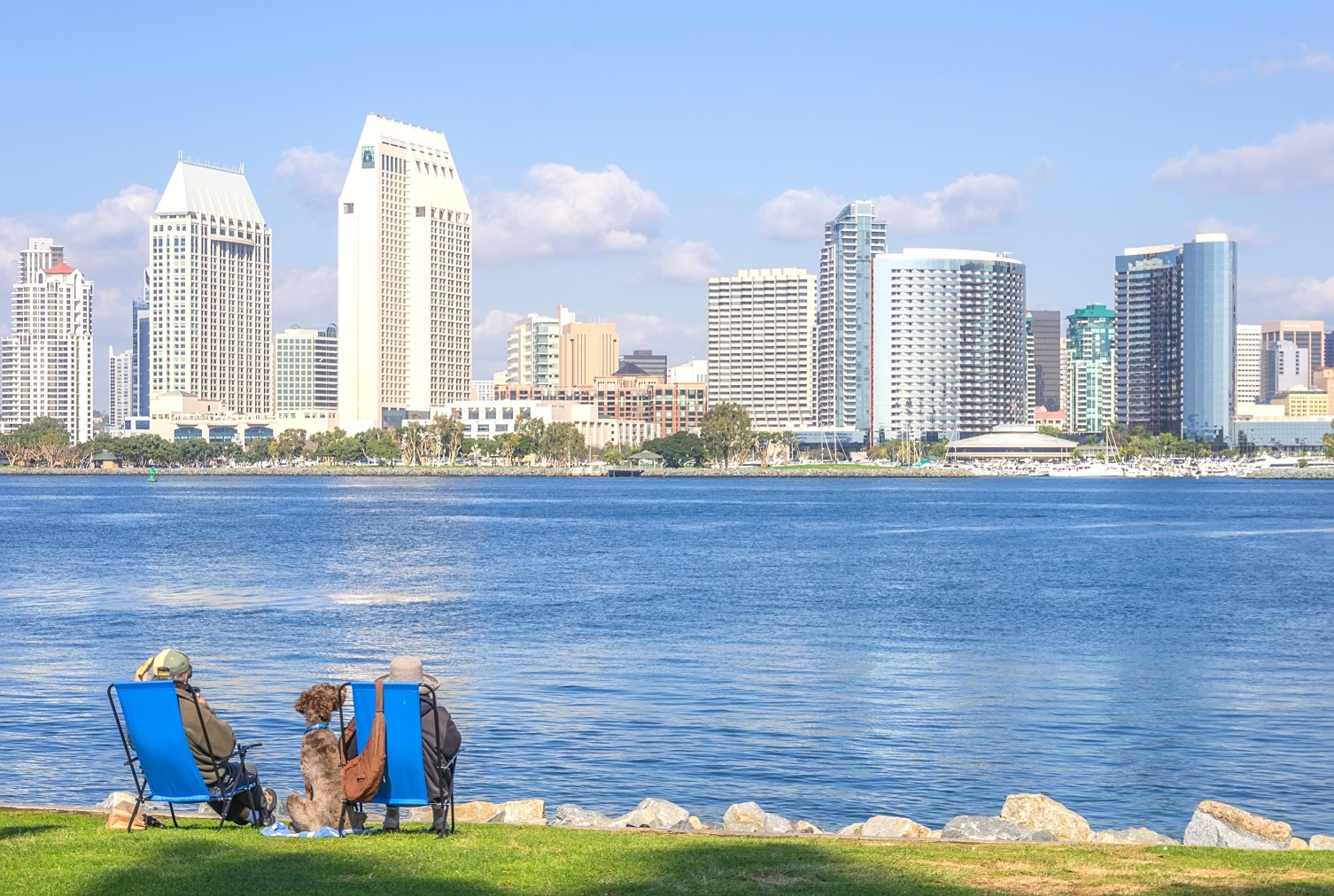 Couple enjoying San Diego cityscape
