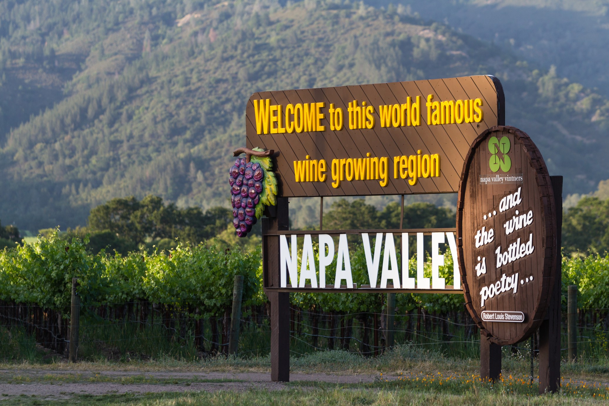 Napa Valley welcome sign with vineyards and hills in California wine country